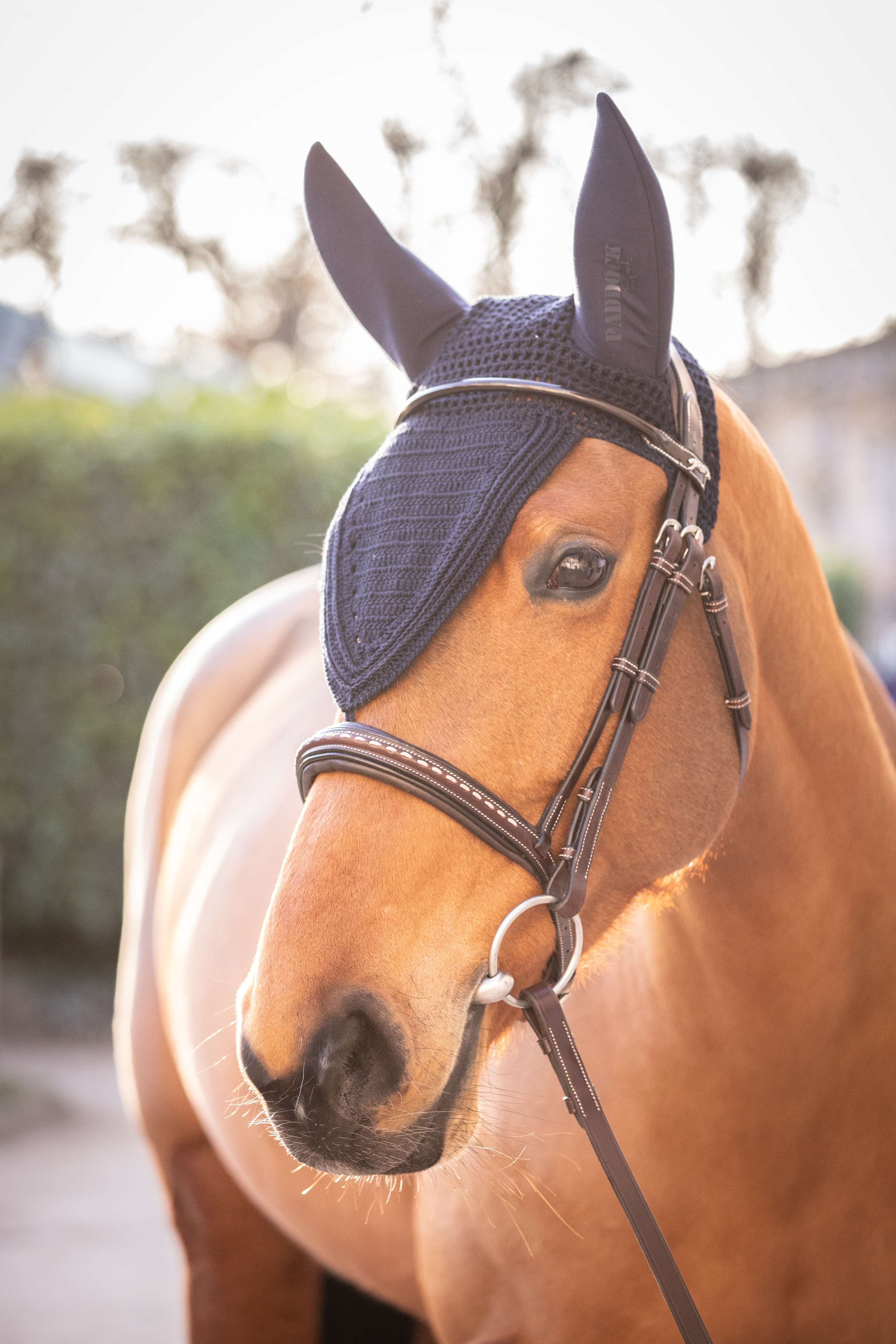 Paddock Nauszniki Long Soundless Granatowe