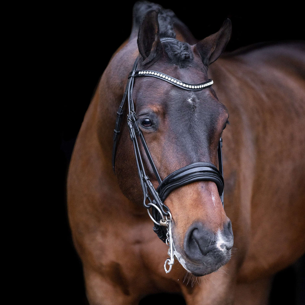 Imperial Riding Ogłowie podwójne IRHAthena czarne