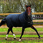 Horseware Trot Plus Ciężki 350g Czarny/Jasnobrązowy
