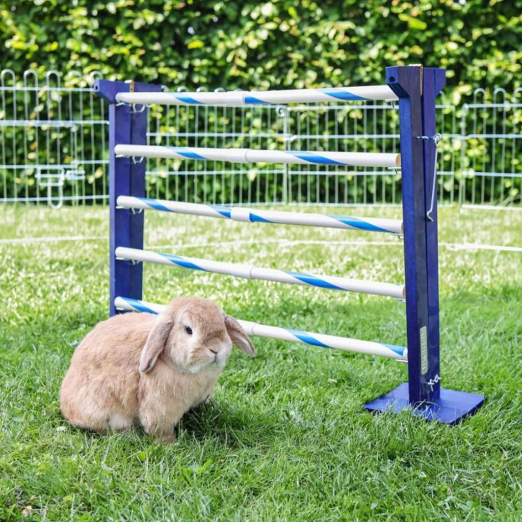 Kerbl Przeszkoda Dla Królików Agility 2
