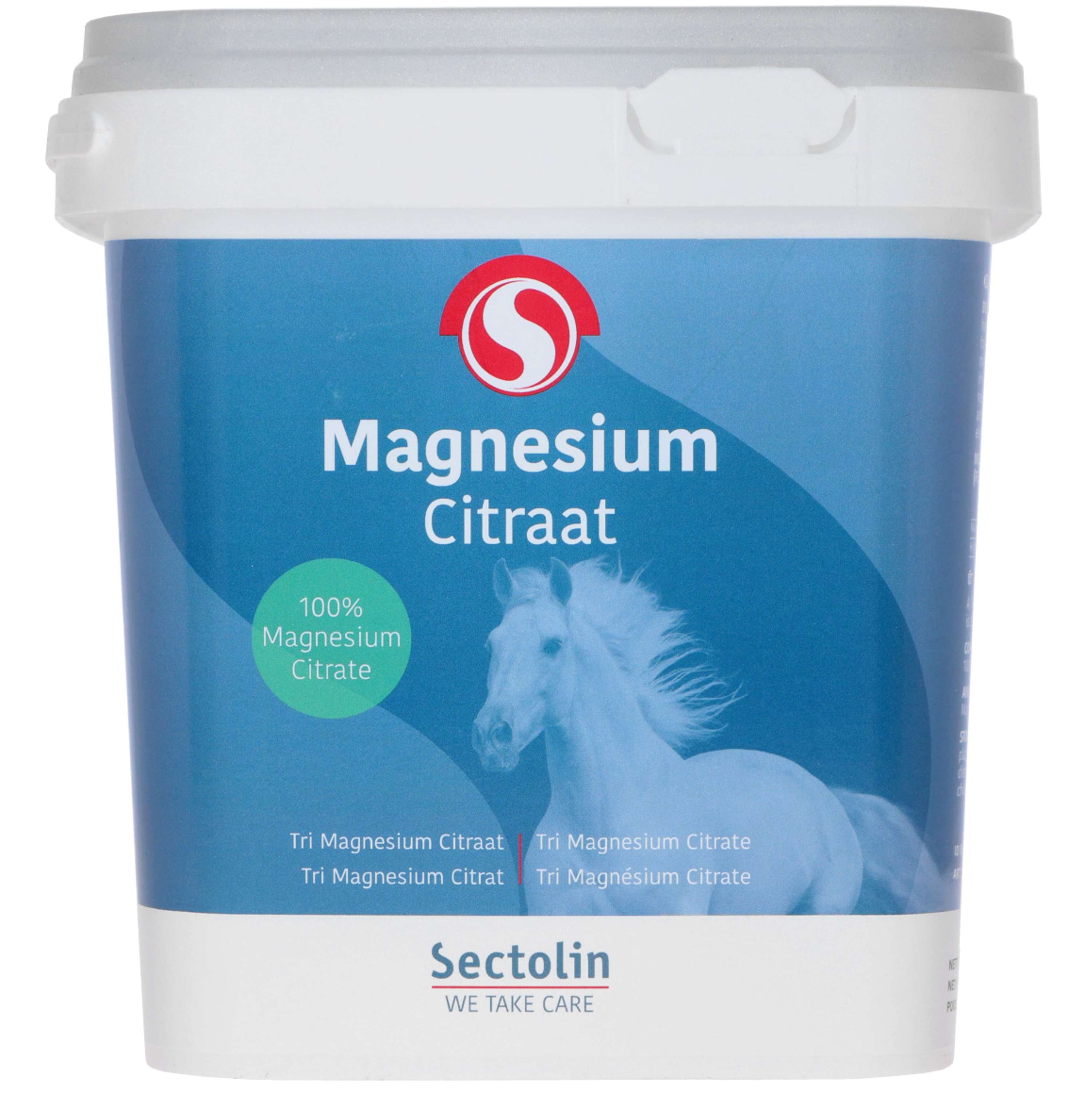 Sectolin Cytrynian Magnezu