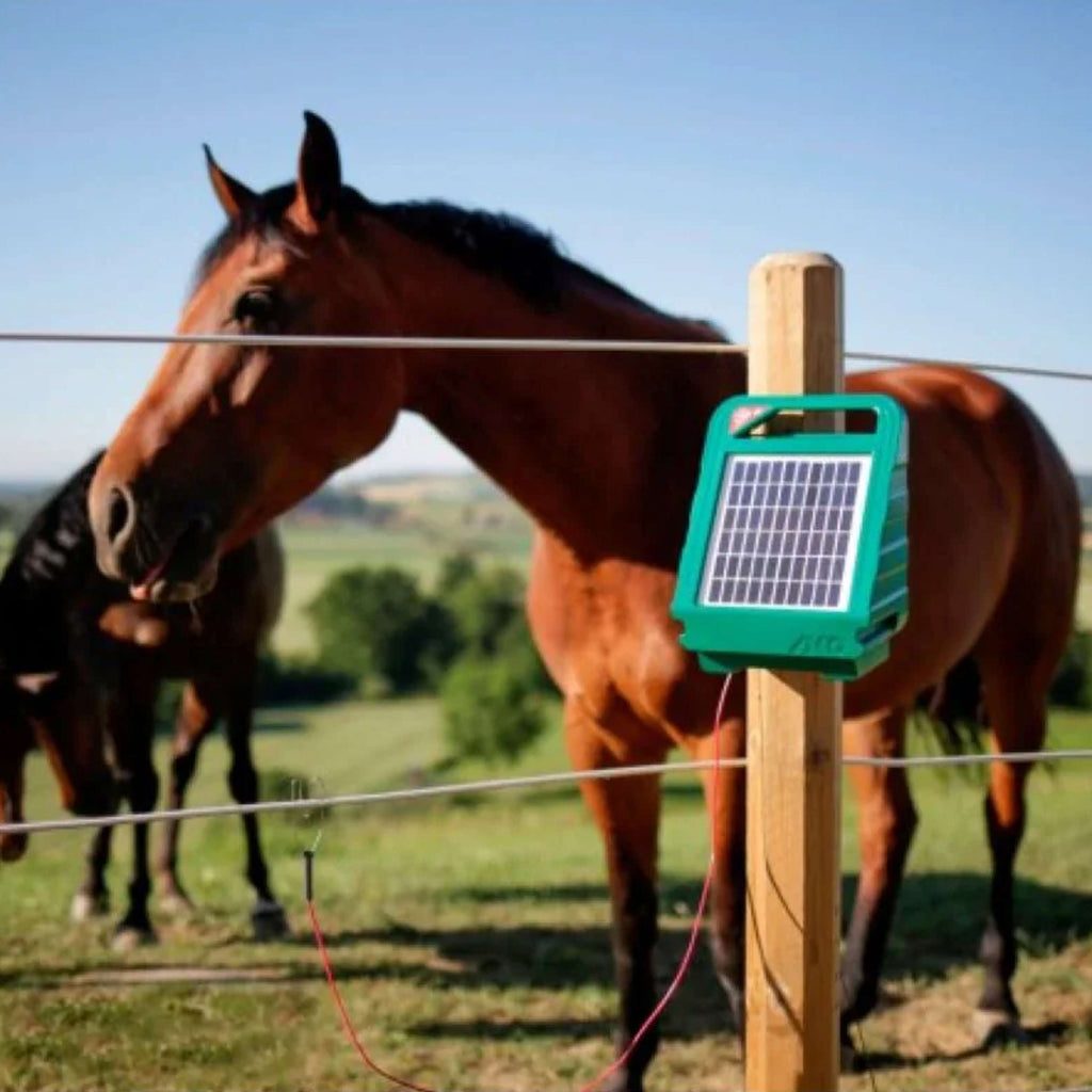 Ako Elektryzator Sunpower S250