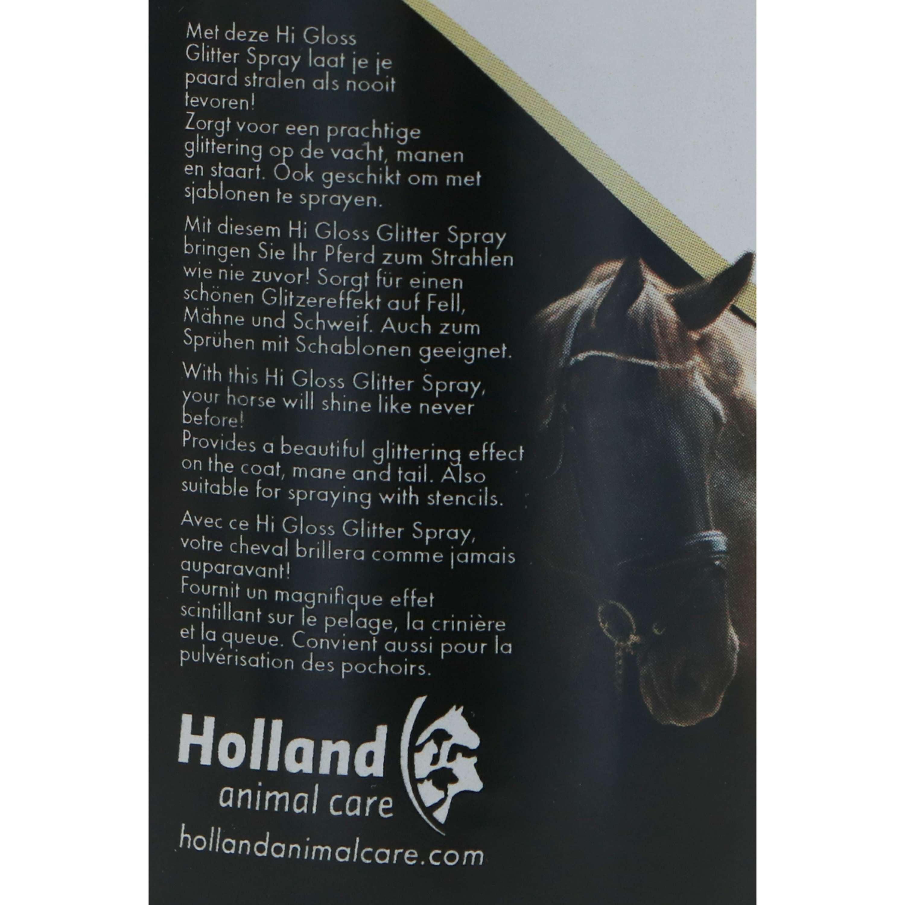 Excellent Brokat Spray Hi Gloss Srebrny