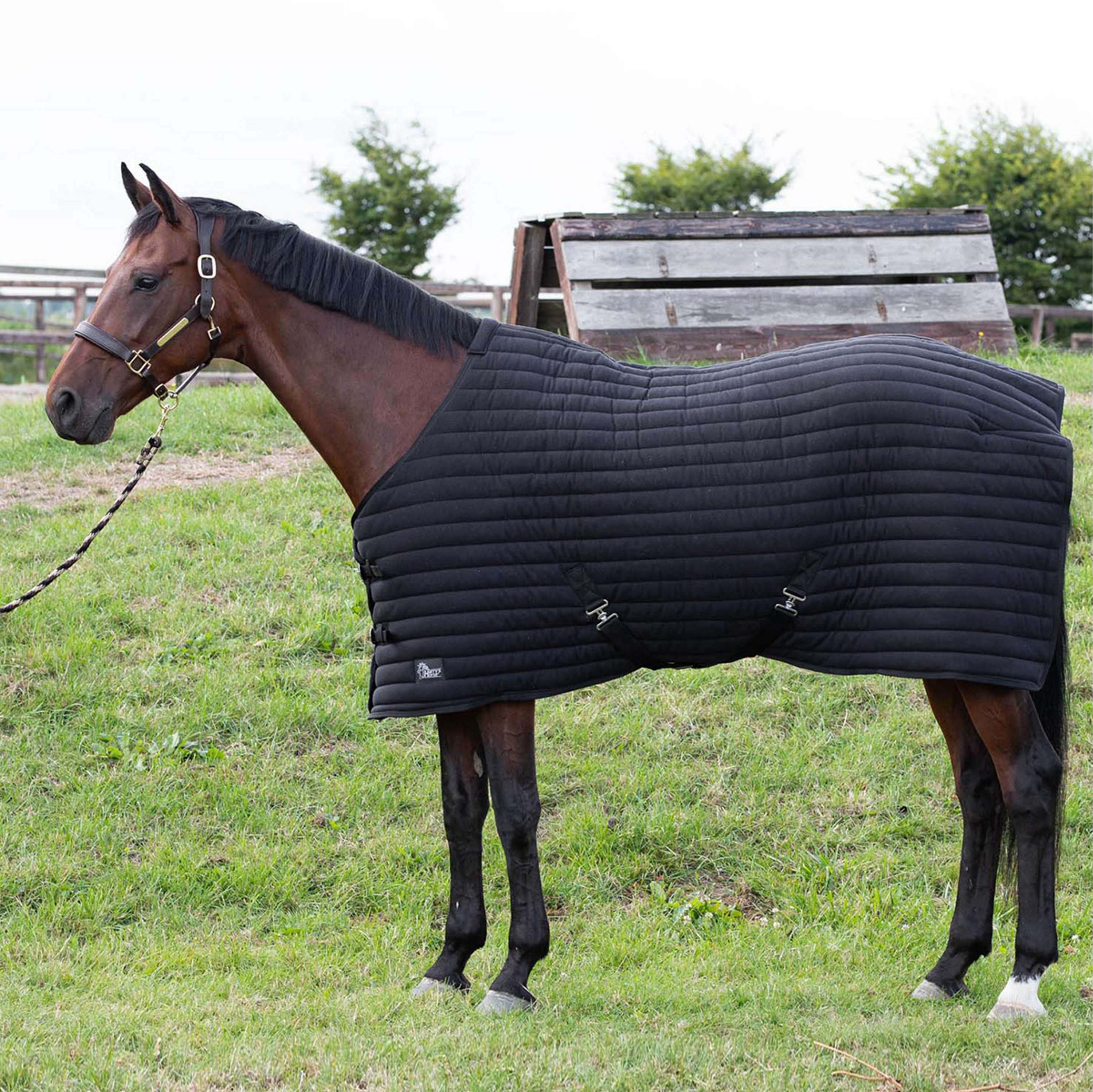 Harry's Horse Derka dolna Powerliner 200g Czarna