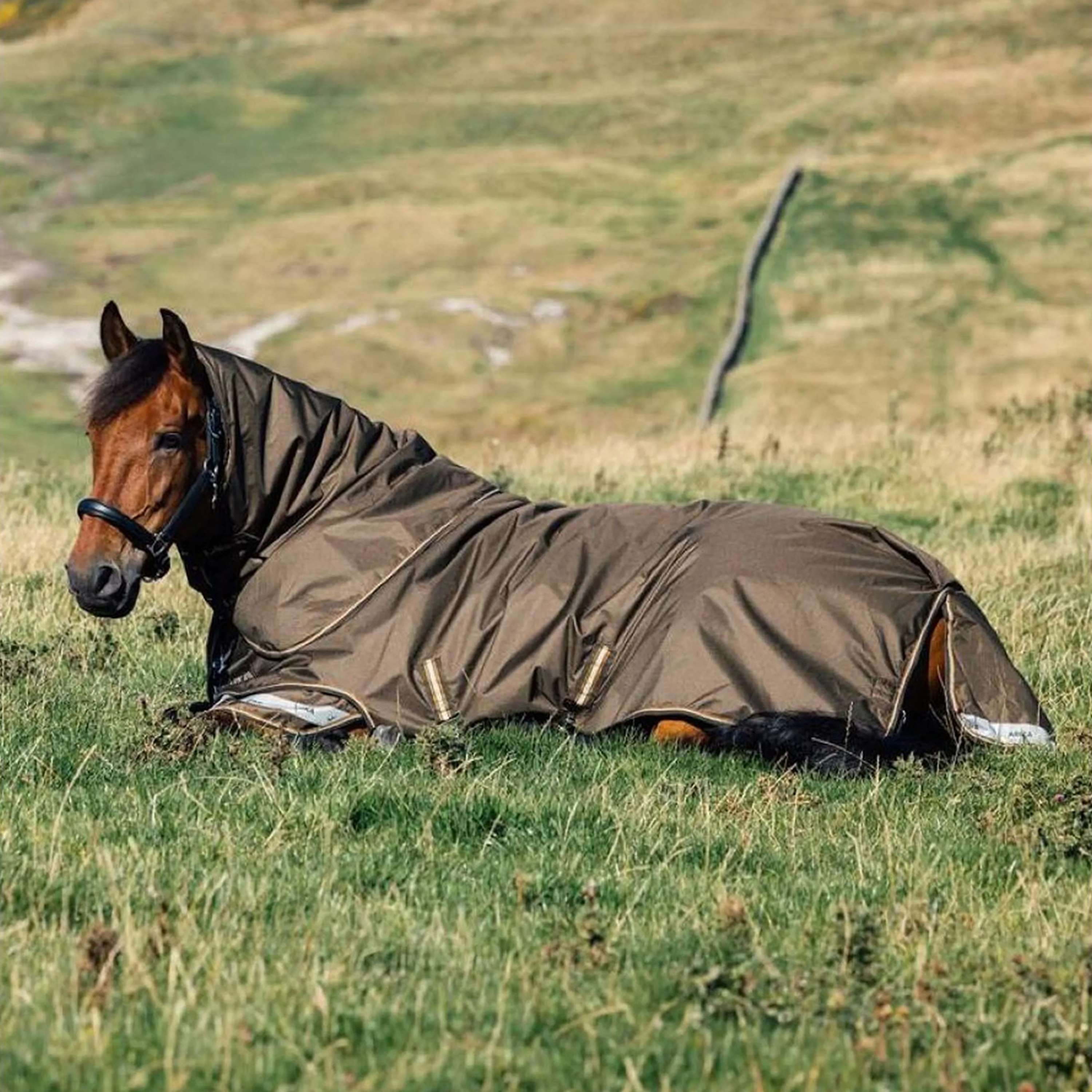 LeMieux Derka Zewnętrzna Arika 600D 100g Alpine