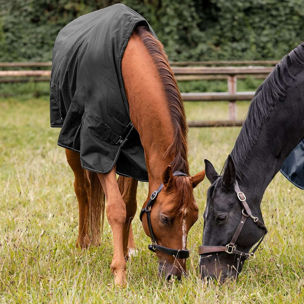 Waldhausen Derka Padokowa Nordic 200g Czarna
