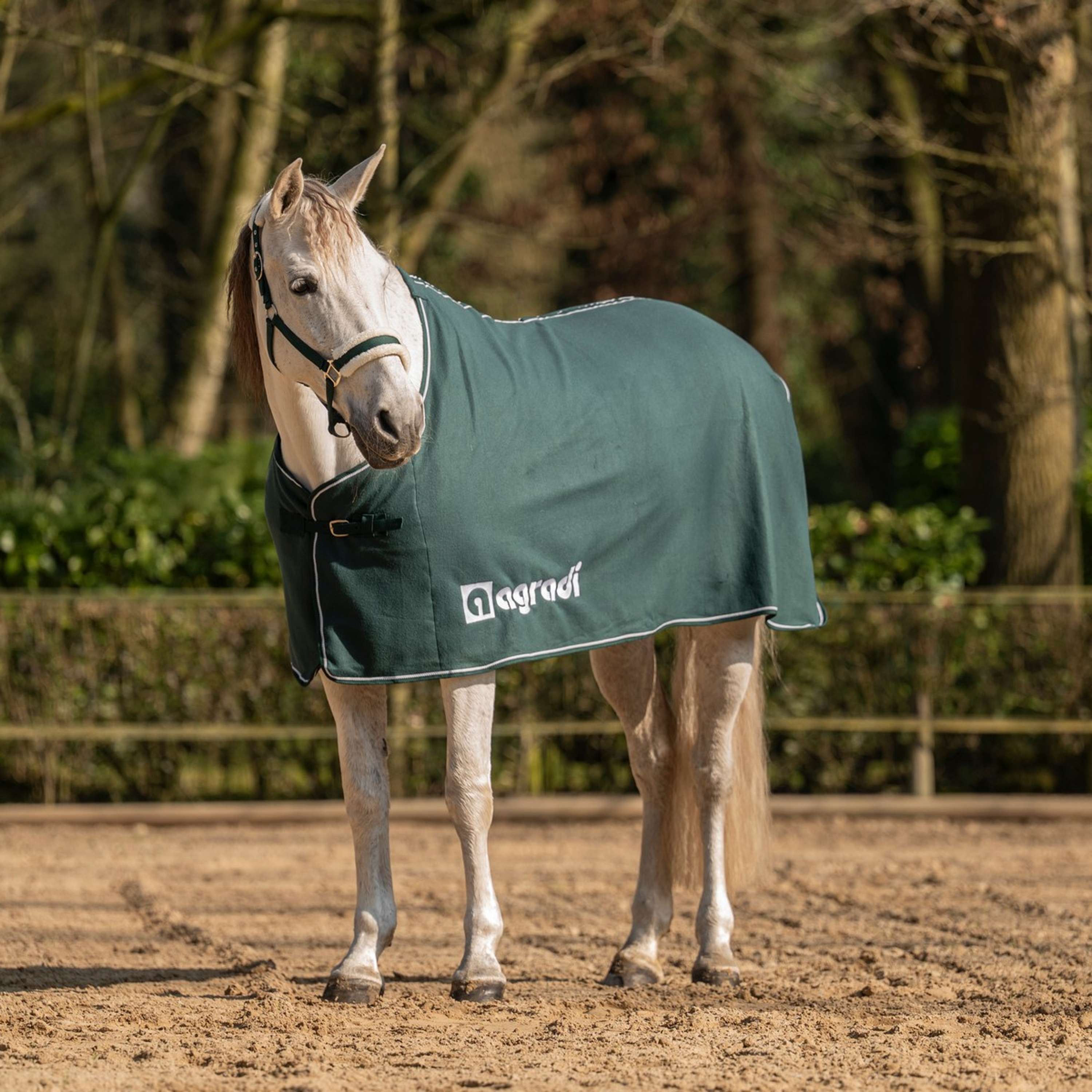 Agradi Horse Derka Polarowa Economic Ciemnozielona