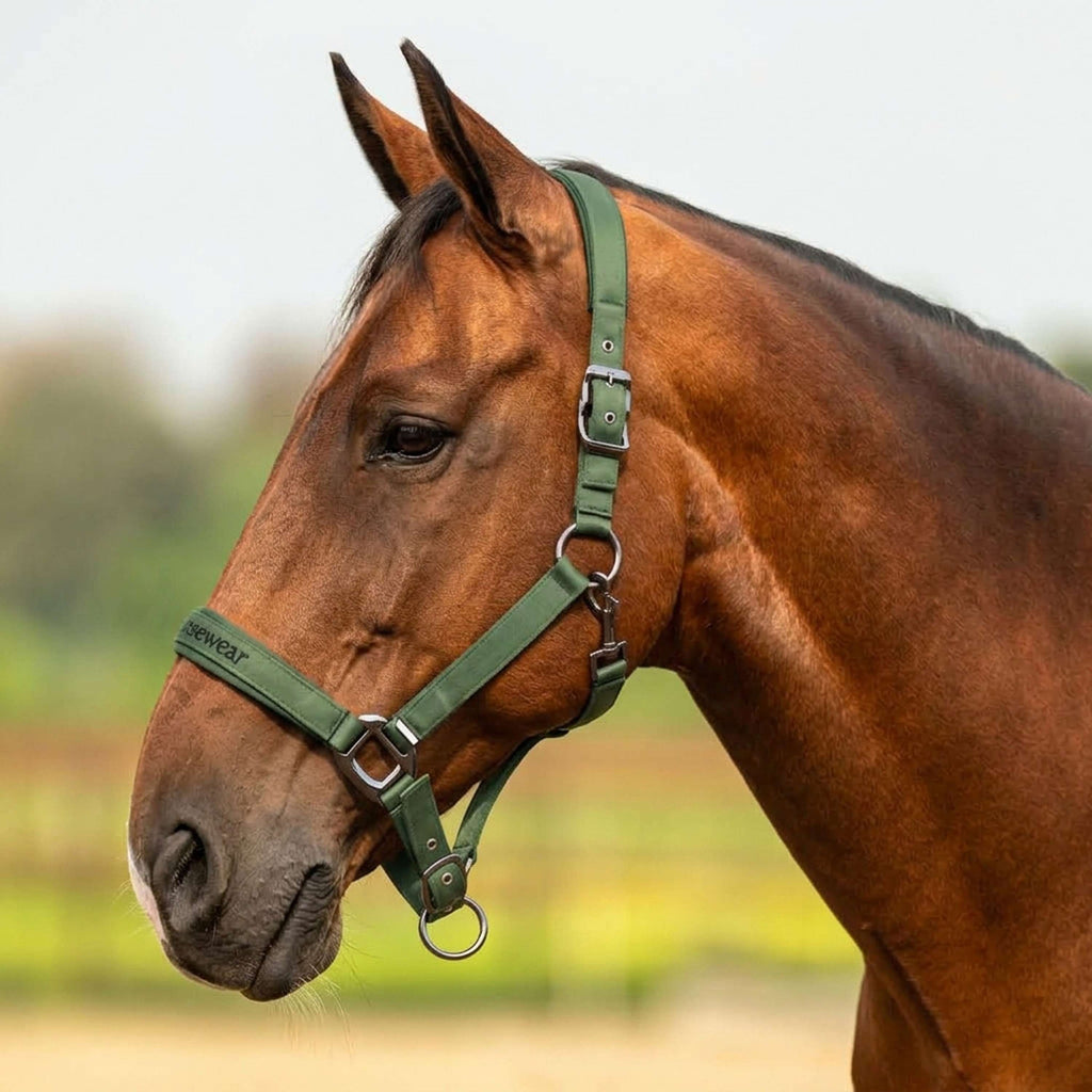 Velder Horsewear Premium Kantar Satin Glow Olive Mist