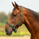Velder Horsewear Premium Kantar Satin Glow Olive Mist