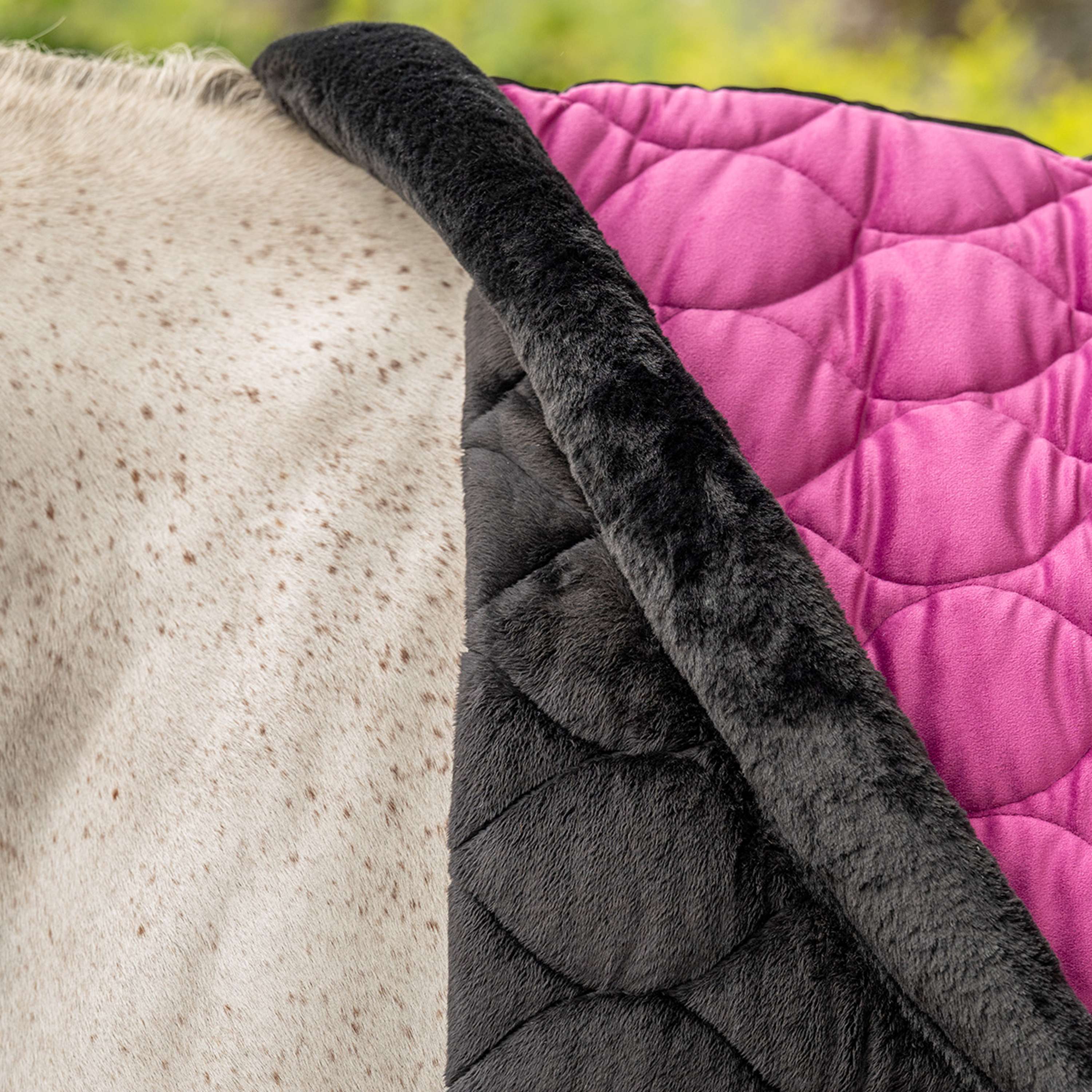 Velder Horsewear Premium Derka Pokazowa Satin Glow Dutch Raspberry