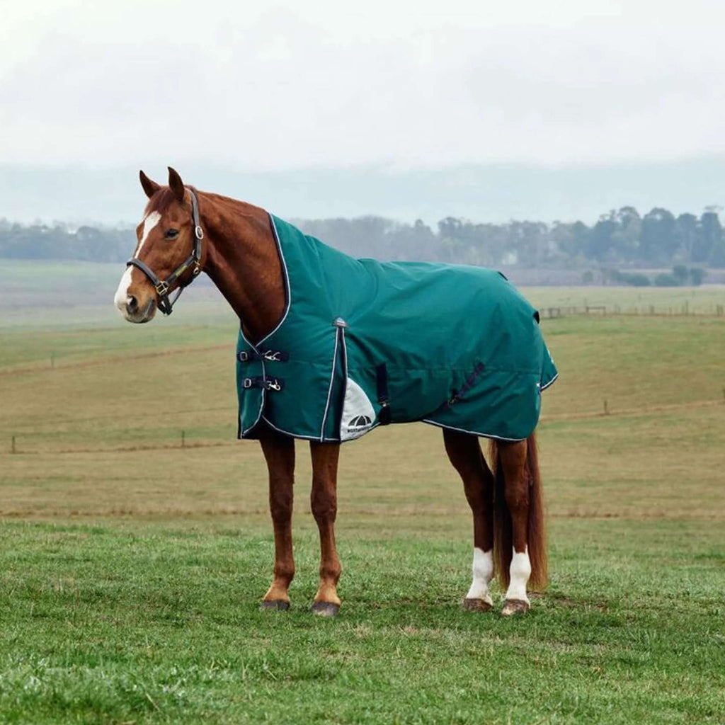 WeatherBeeta ComFiTec Plus Dynamic Turnout z wysokim kołnierzem 220g Forest Green/Navy