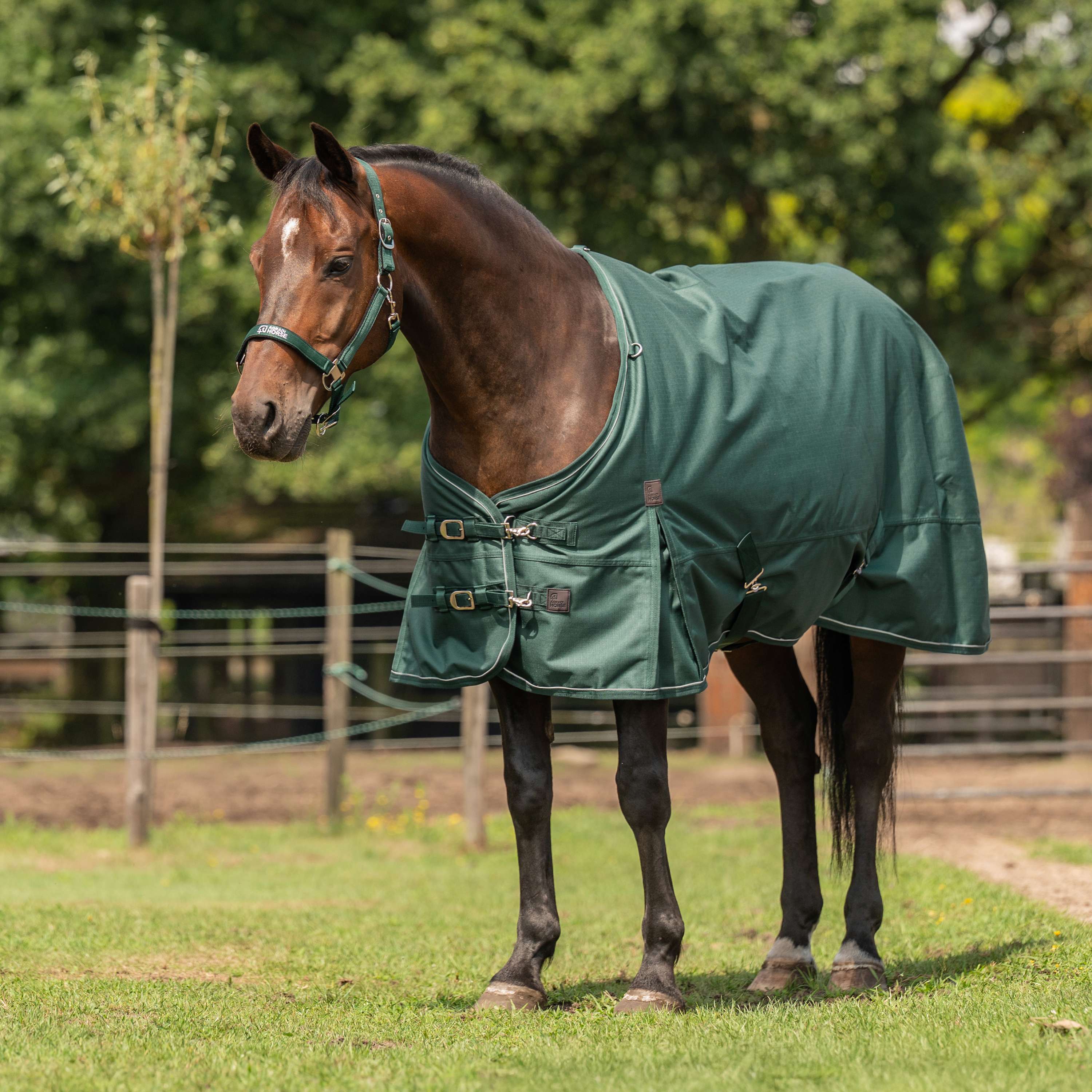 Derka padokowa Agradi Horse 1200D 0g z odblaskową lamówką, zielona