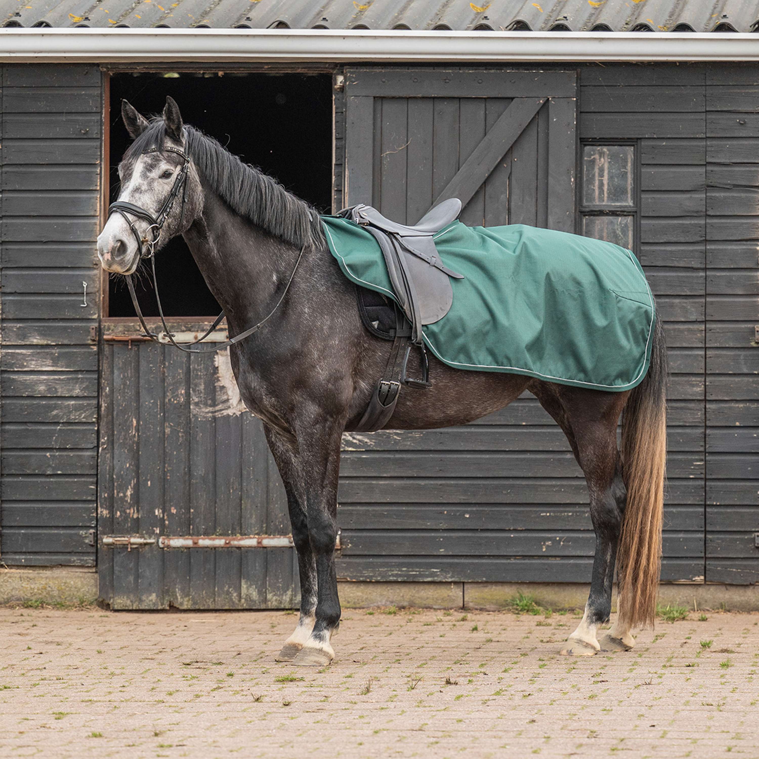 Derka treningowa Agradi Horse 1200D z odblaskową lamówką, zielona