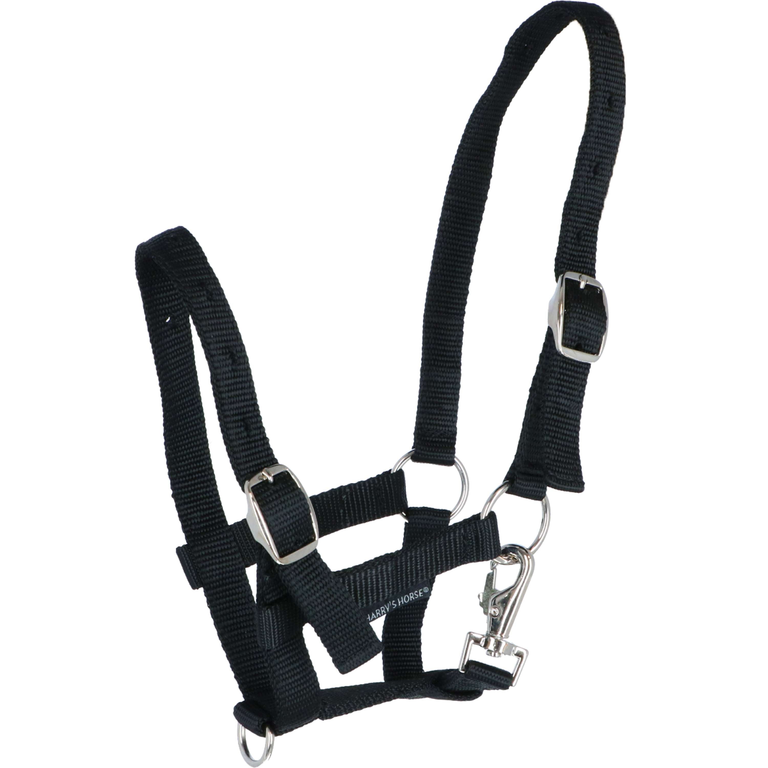 Harry's Horse Kantar Dla Źrebięcia Czarny