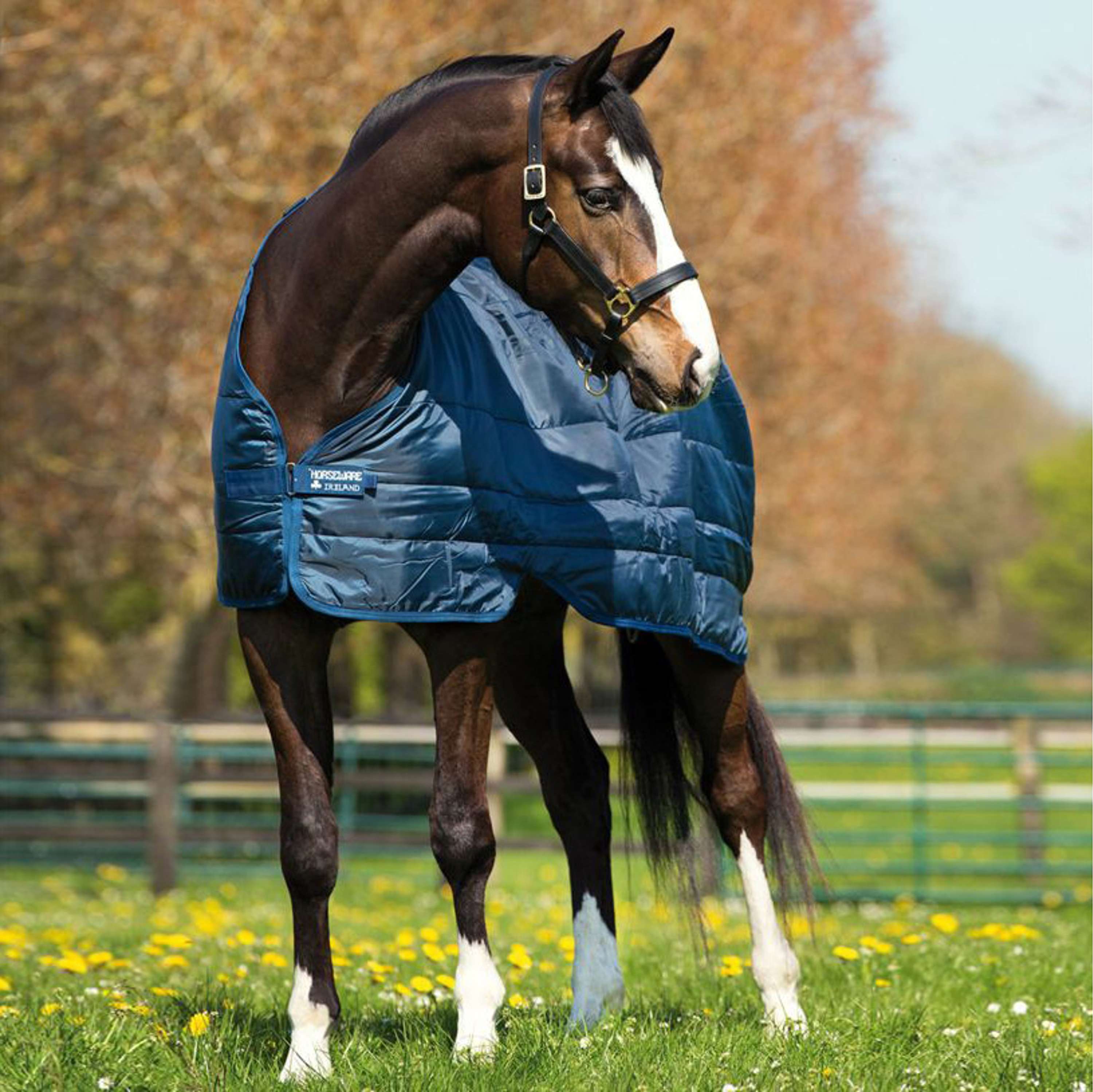 Horseware podderka 100g Granatowy