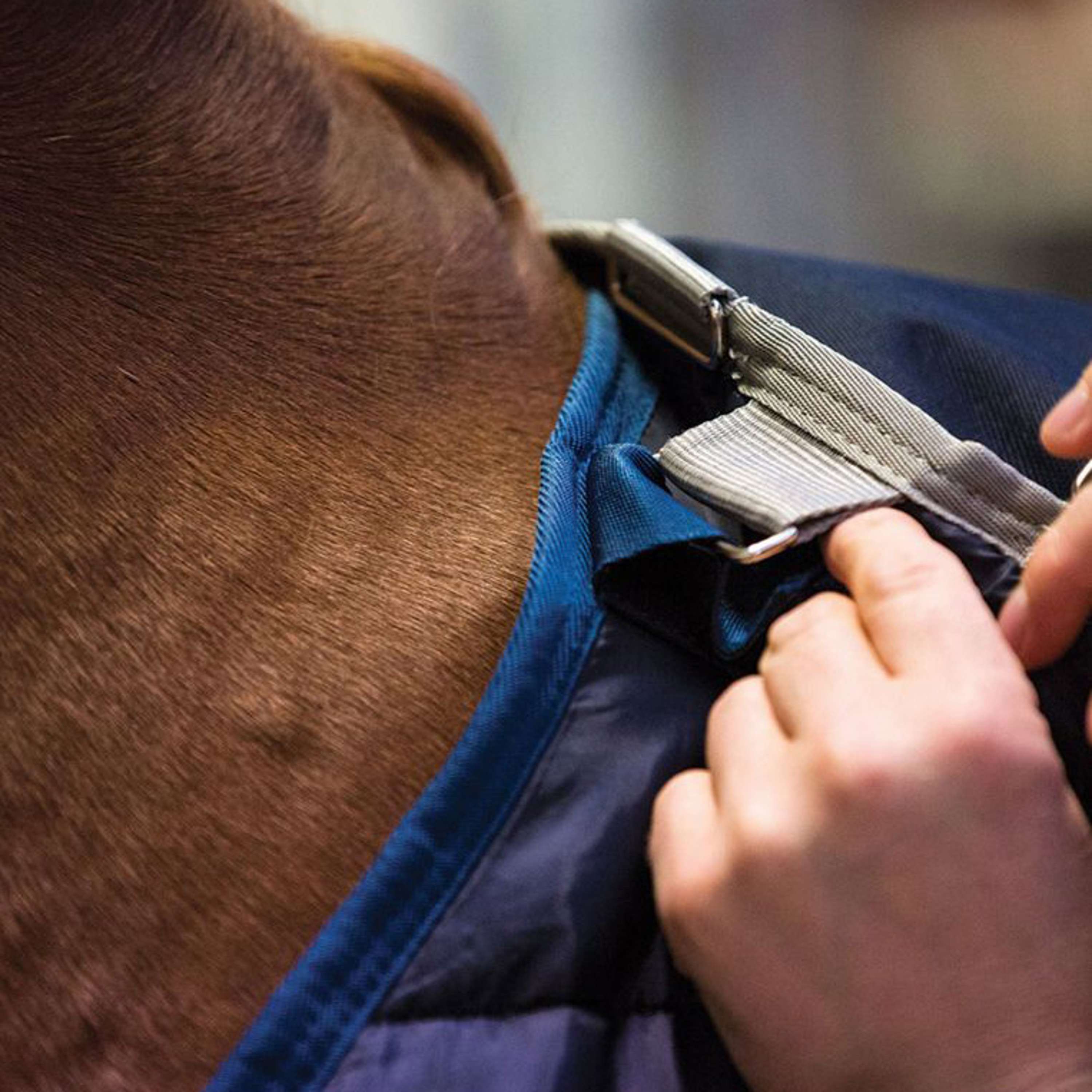 Horseware podderka 300g Granatowy