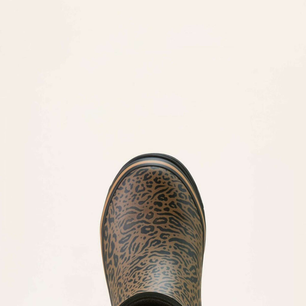 Damskie kalosze Ariat Kelmarsh Mid w cętki
