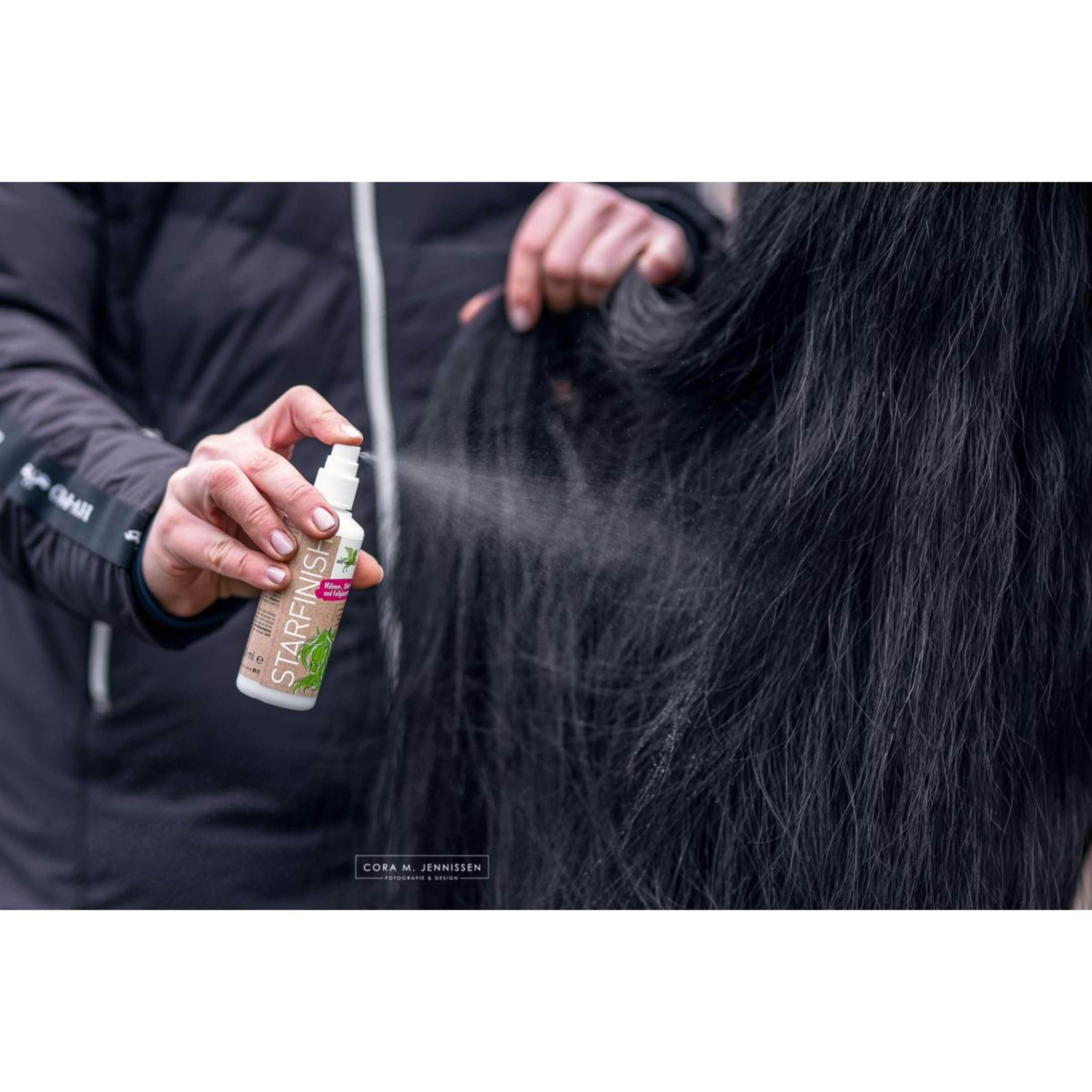 Bense & Eicke Spray Nabłyszczający StarFinish