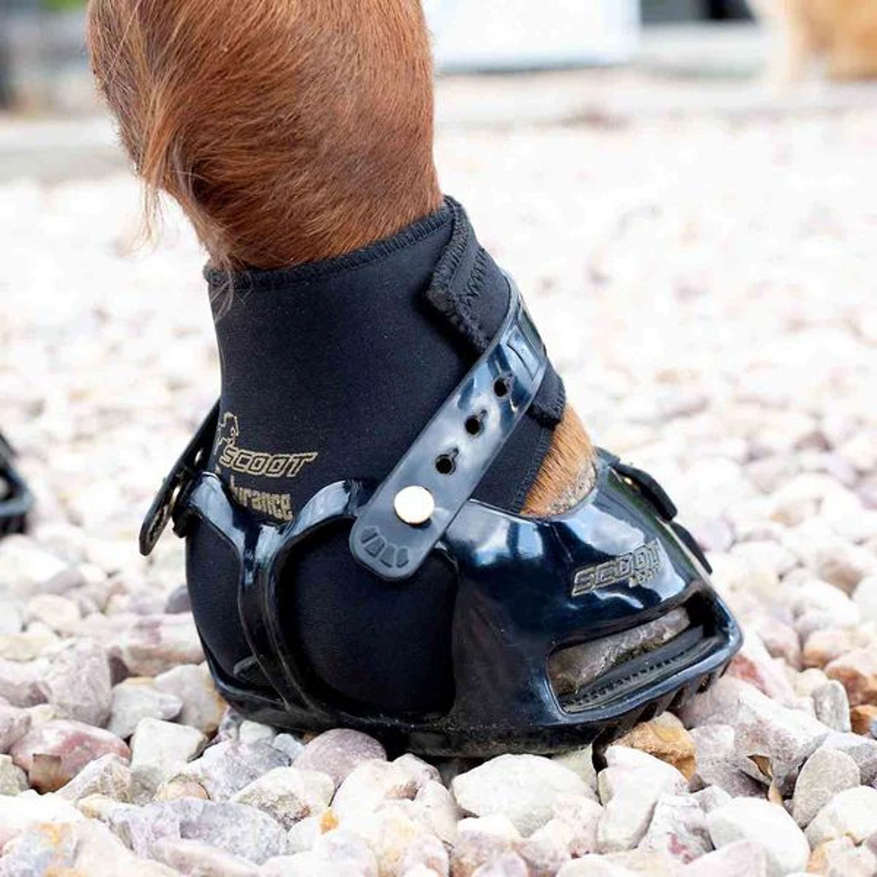 Scoot Boot Endurance Gaiter Czarny
