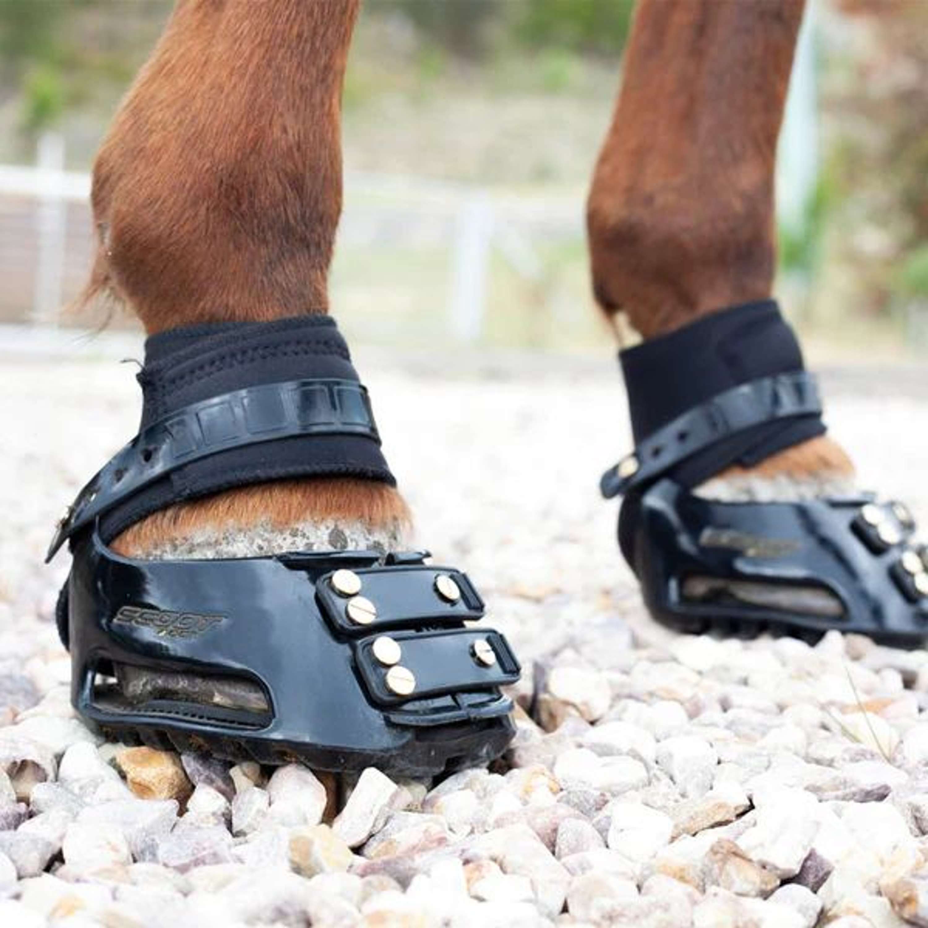 Scoot Boot Endurance Gaiter Czarny