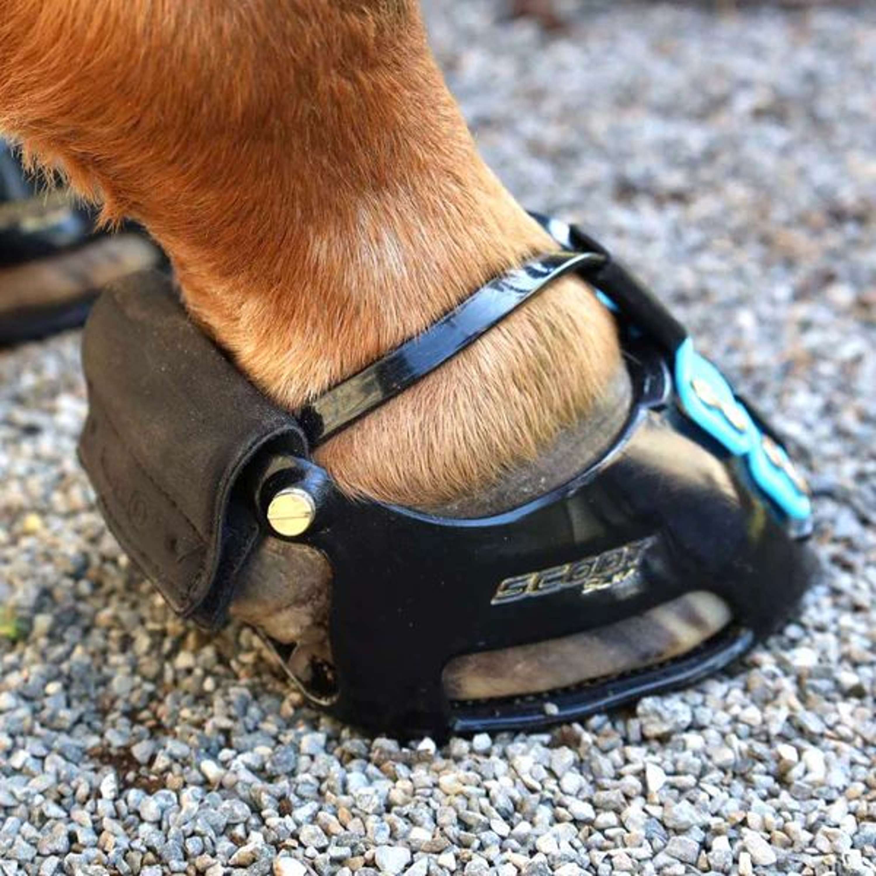 Ochraniacz na pęcinę Scoot Boot czarny