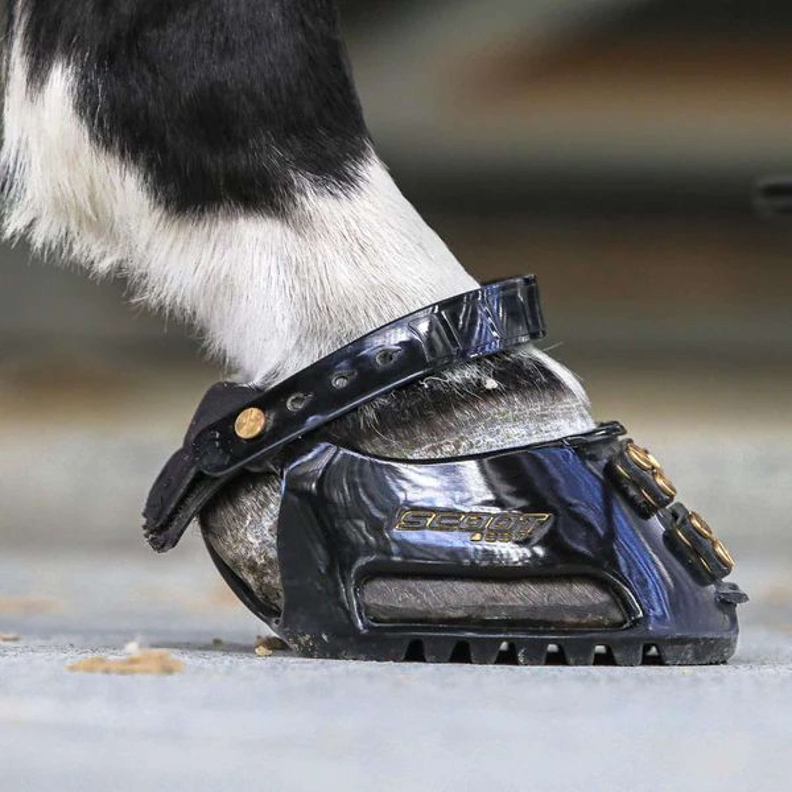 Scoot Boot Podkowa Slim Single Czarny