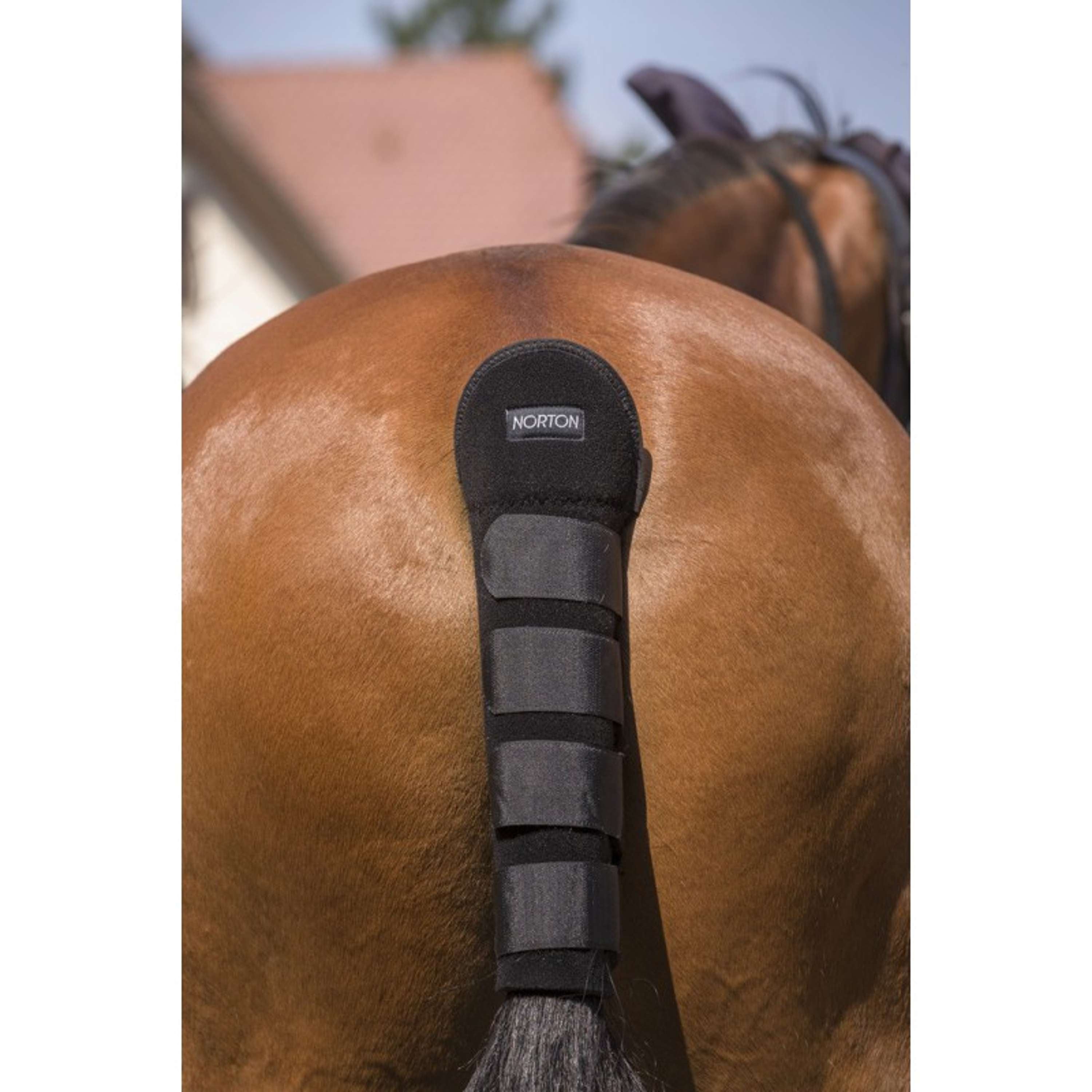 Norton Ochraniacz ogona High Protection czarny