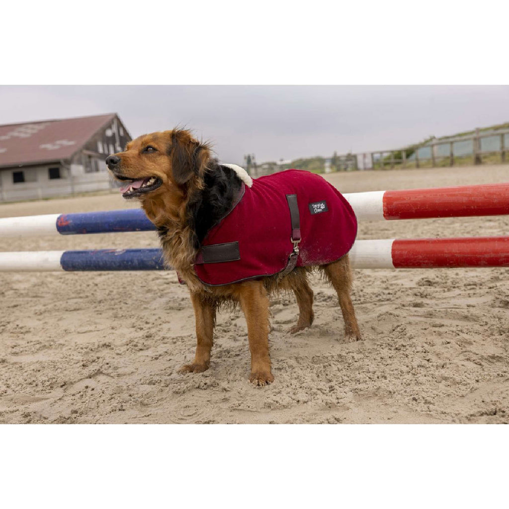 Diego & Louna Derka Dla Psa Polar Bordeaux