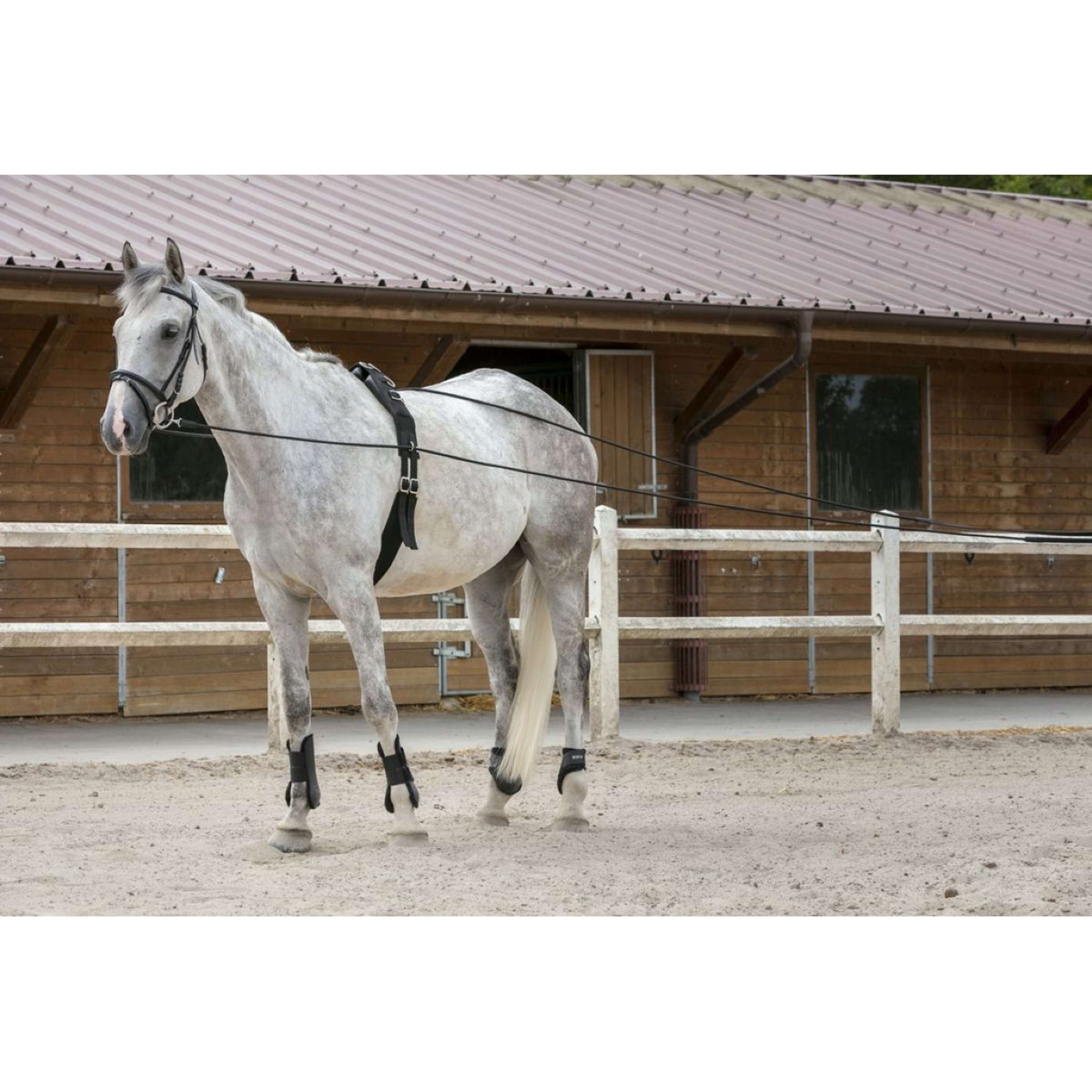 Riding World Wodze skórzano-sznurkowe czarne