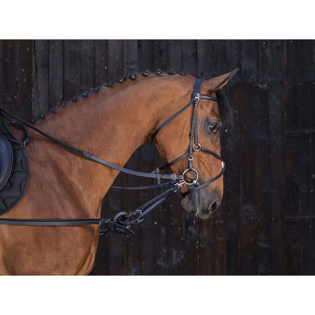 Riding World Wodze pomocnicze z pierścieniem czarne
