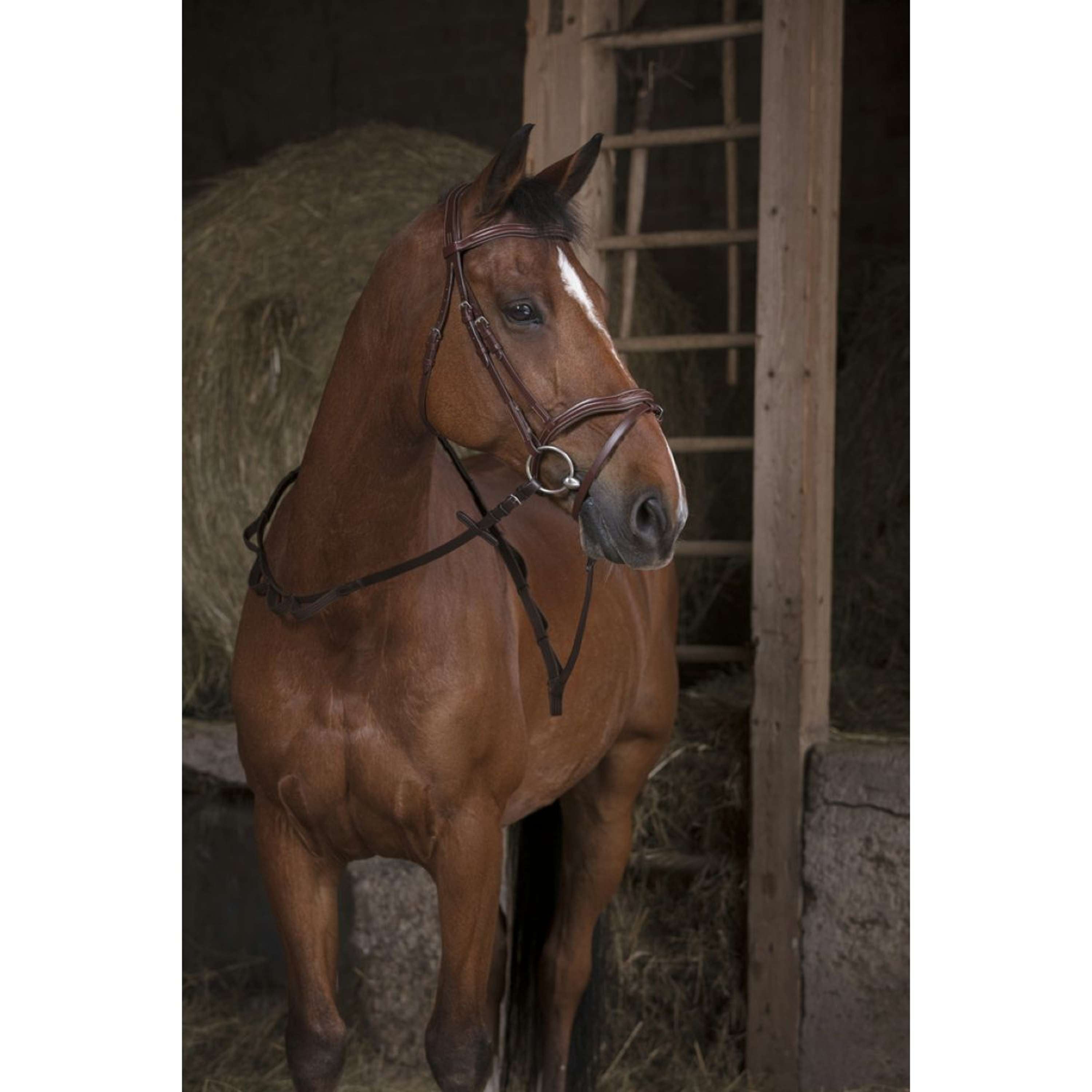 Norton Wodze Pro Hunting met Uchwyt Hawana