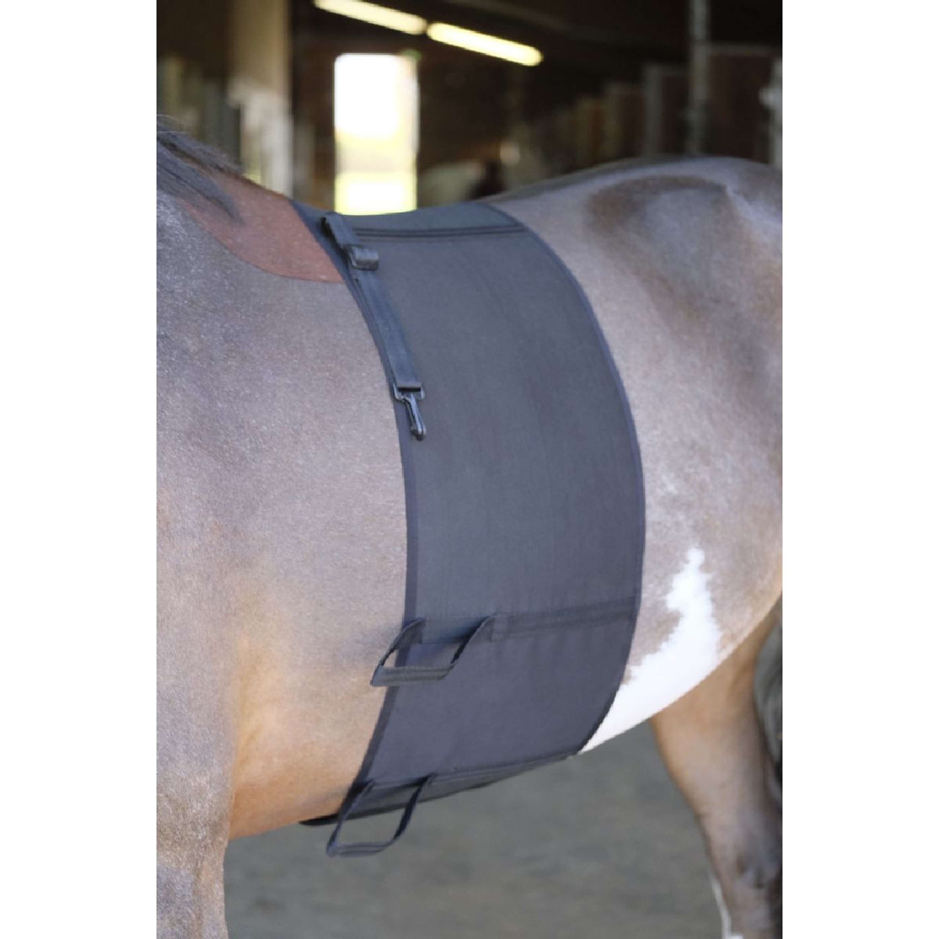 Norton Pas Brzuszny Czarny