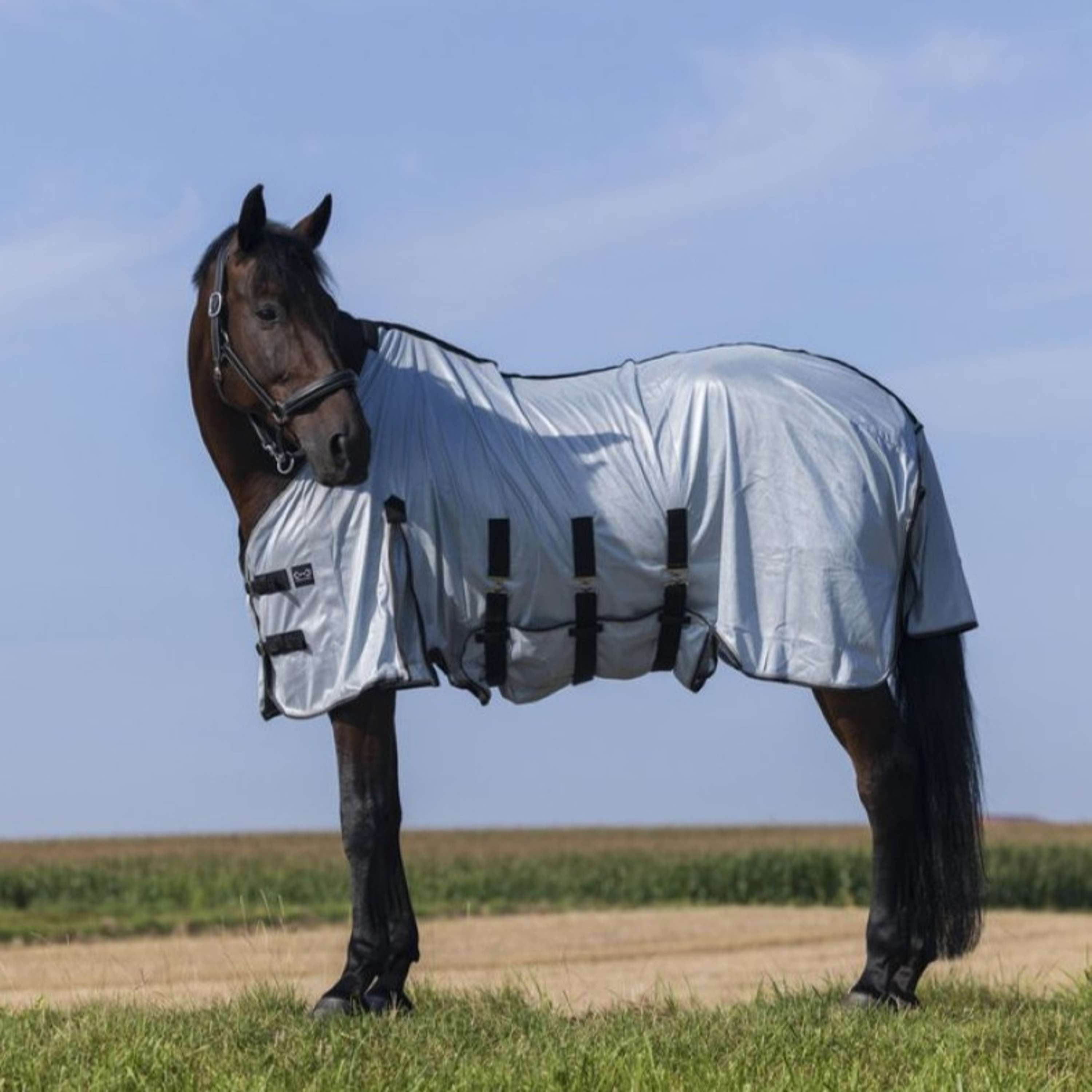 Riding World Derka Przeciw Muchom Belly Mesh Szary