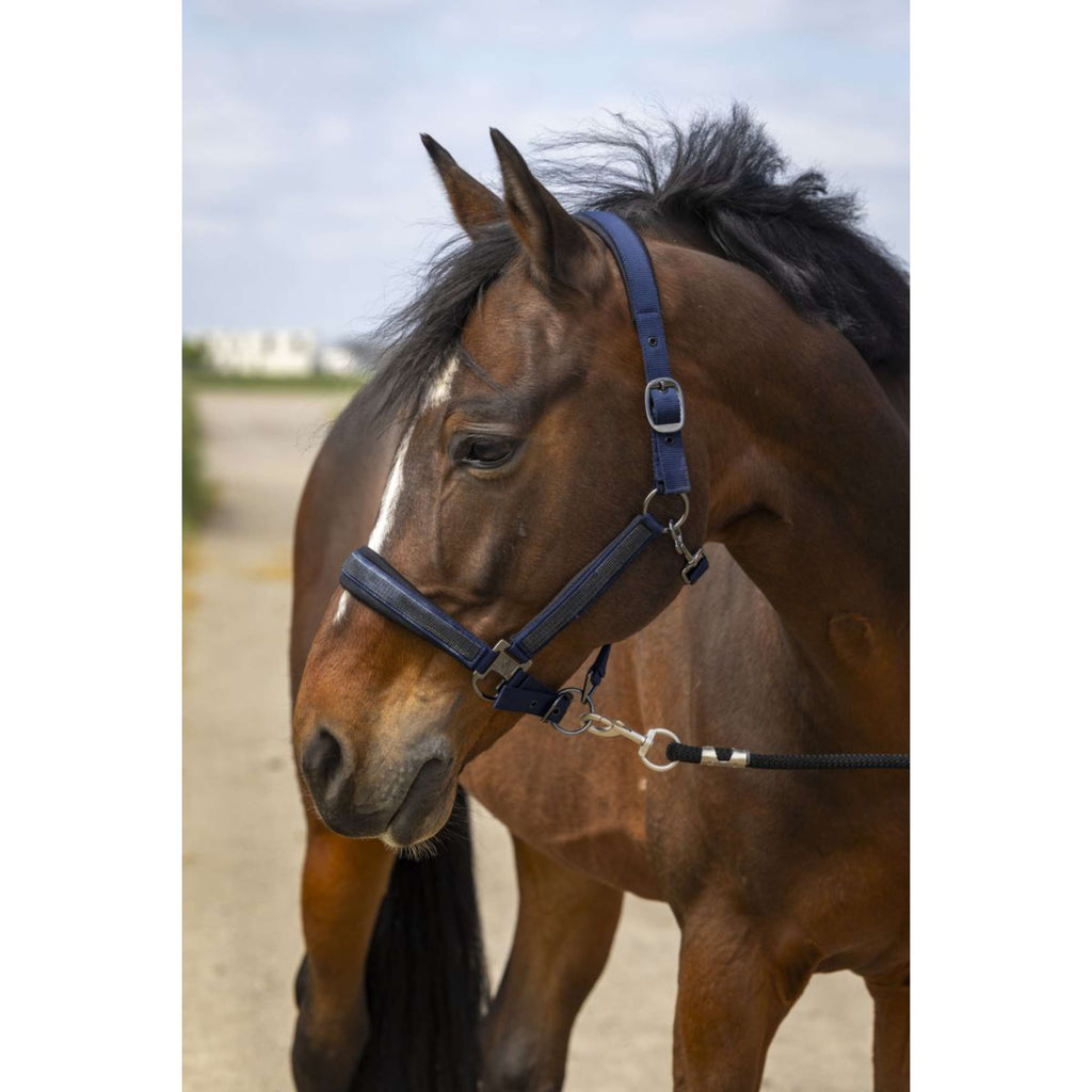 EQUITHÈME Kantar Strass Nylon Granatowy