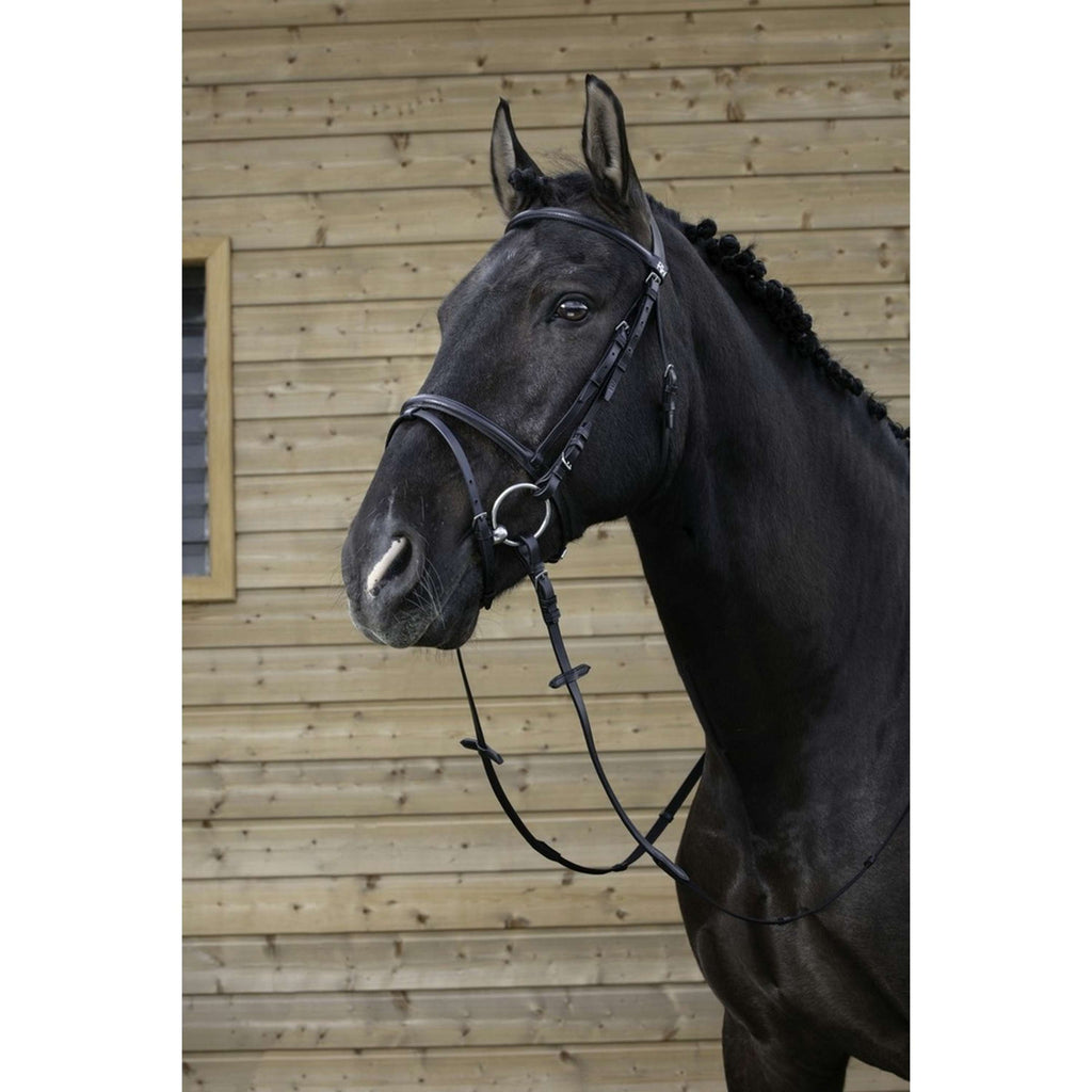 Riding World Ogłowie z Kombinowany Nachrapnik Czarny