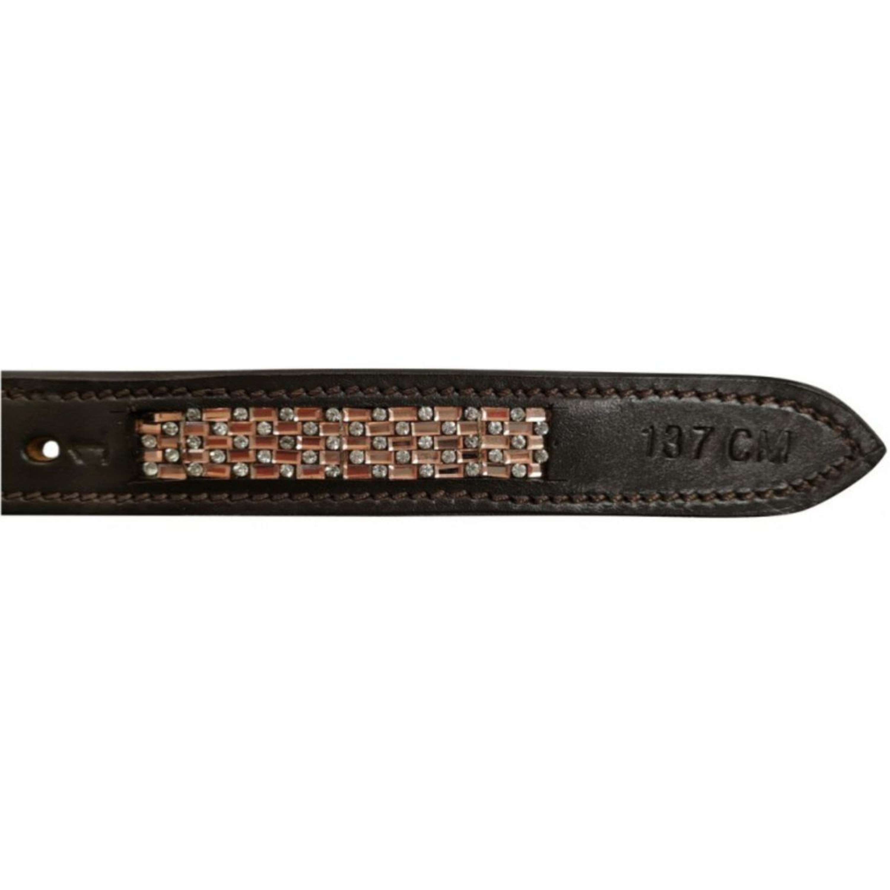 Norton Puśliska Damier Hawana