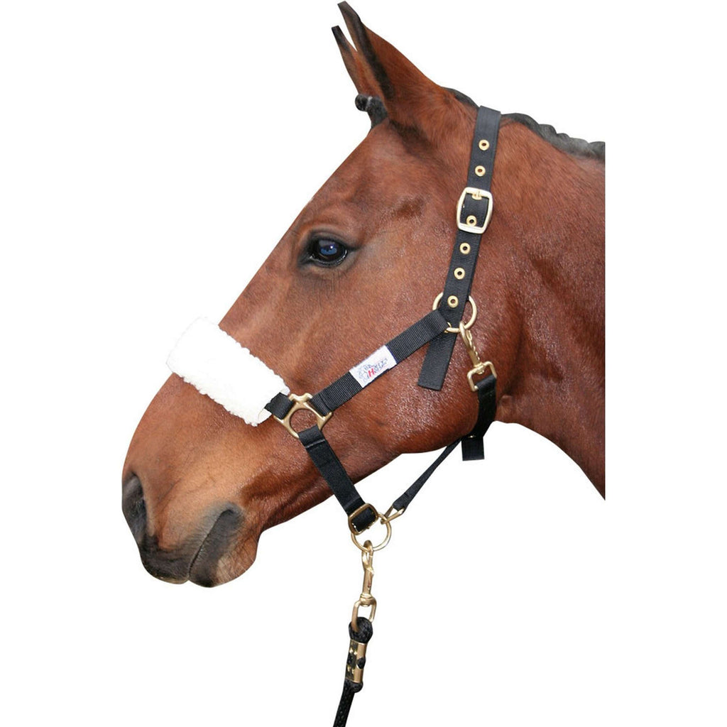 Harry's Horse Futerko Na Nachrapnik Syntetyczny Beige