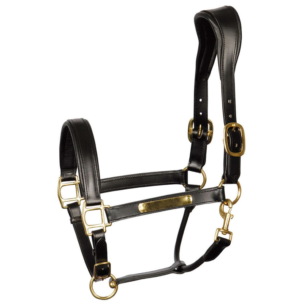 Kantar anatomiczny Harry's Horse skórzany czarny