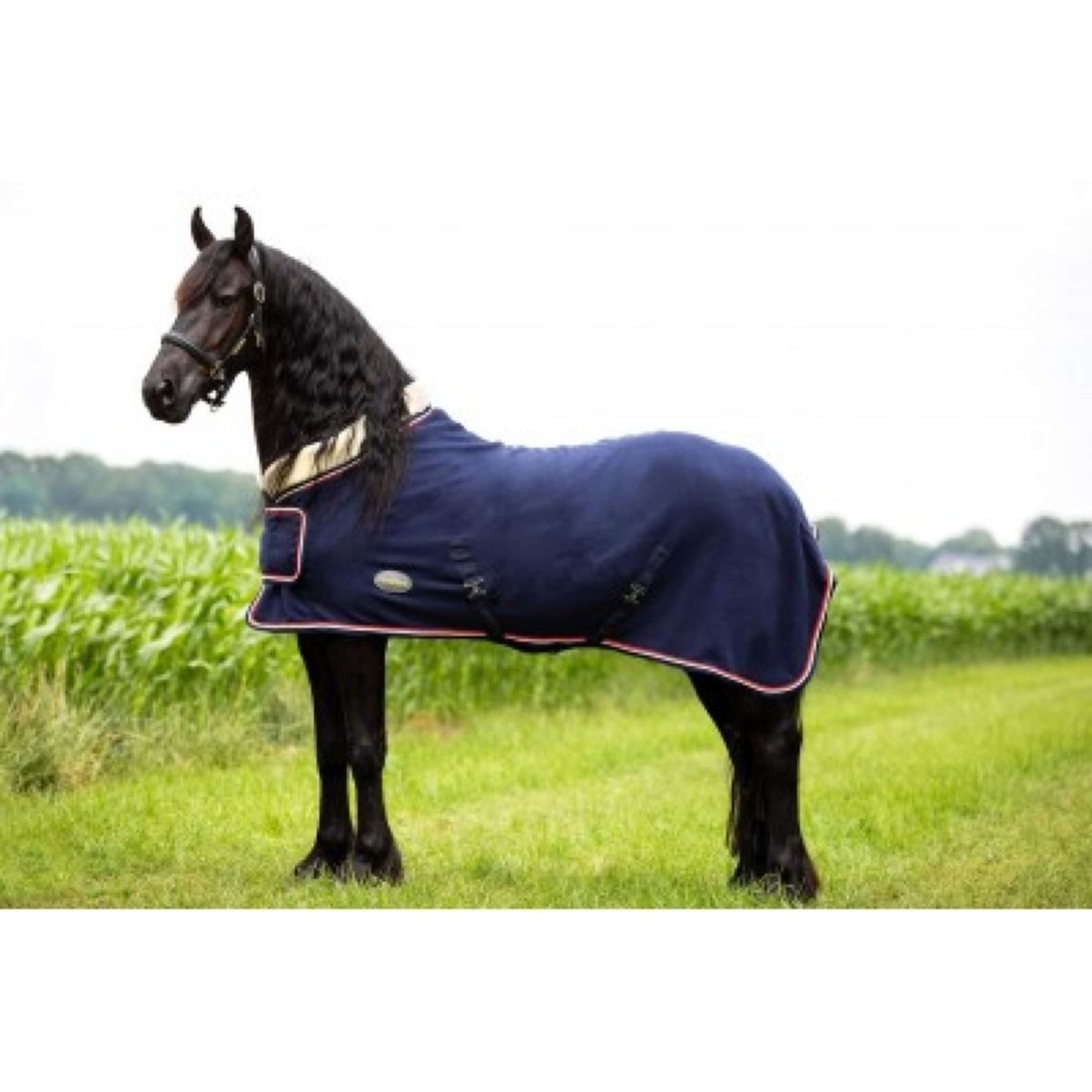 HB Showtime Derka Pokazowa Polarowa 400g Dutch Crown Granatowy