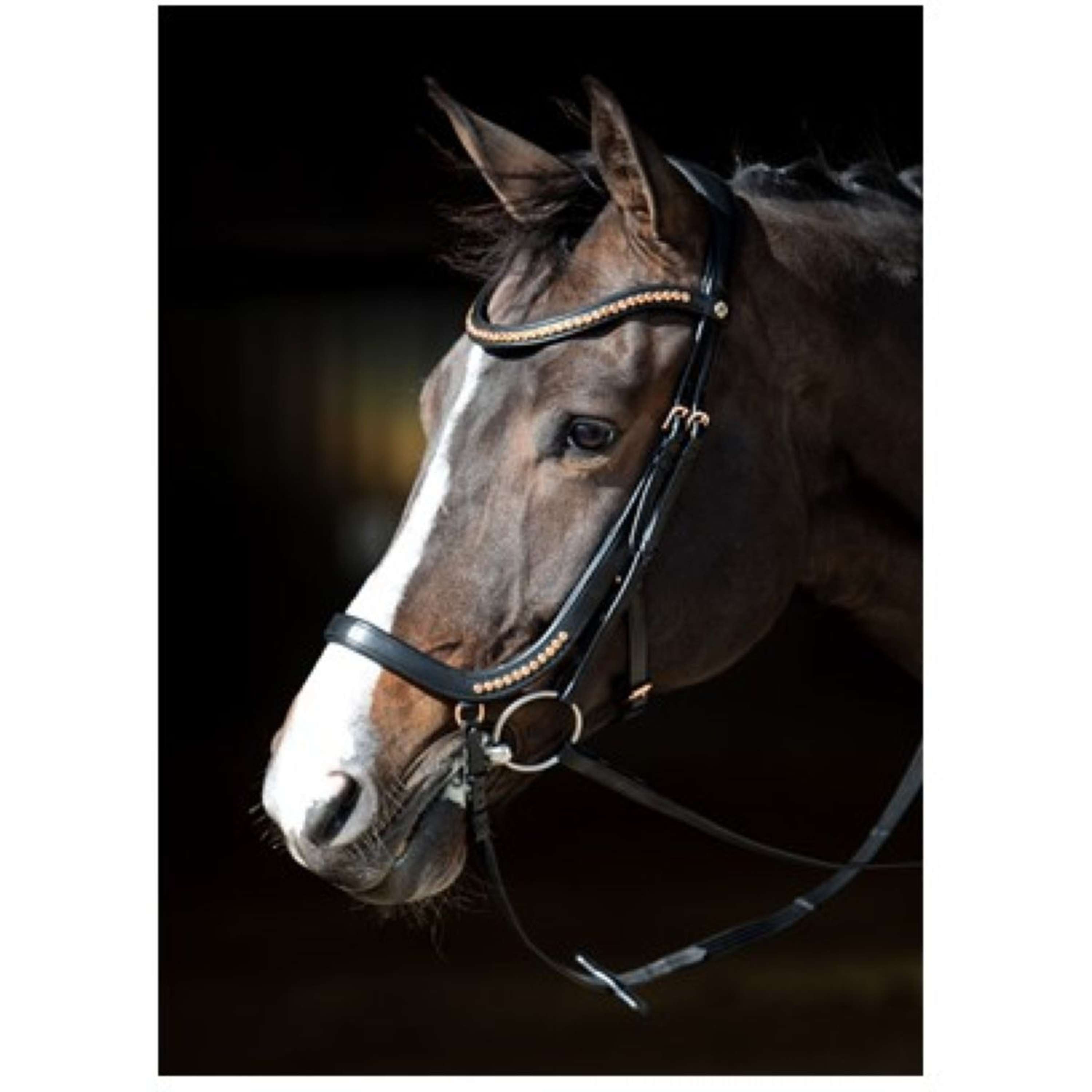 Harry's Horse Ogłowie Anatomiczny Czarny