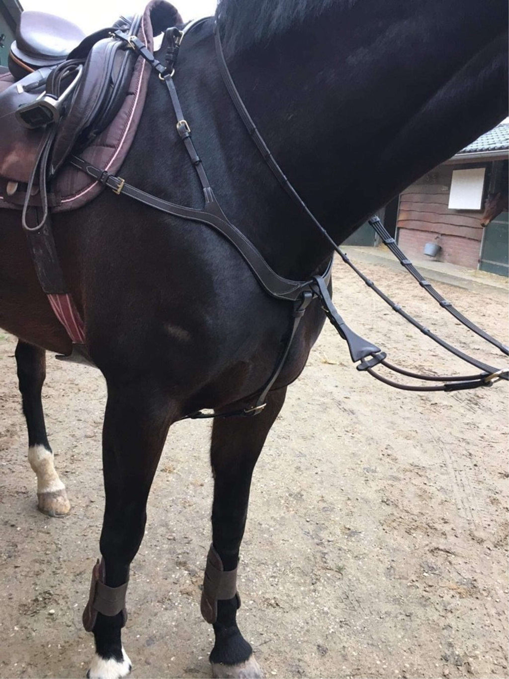 Harry's Horse Napierśnik Deluxe Brązowy