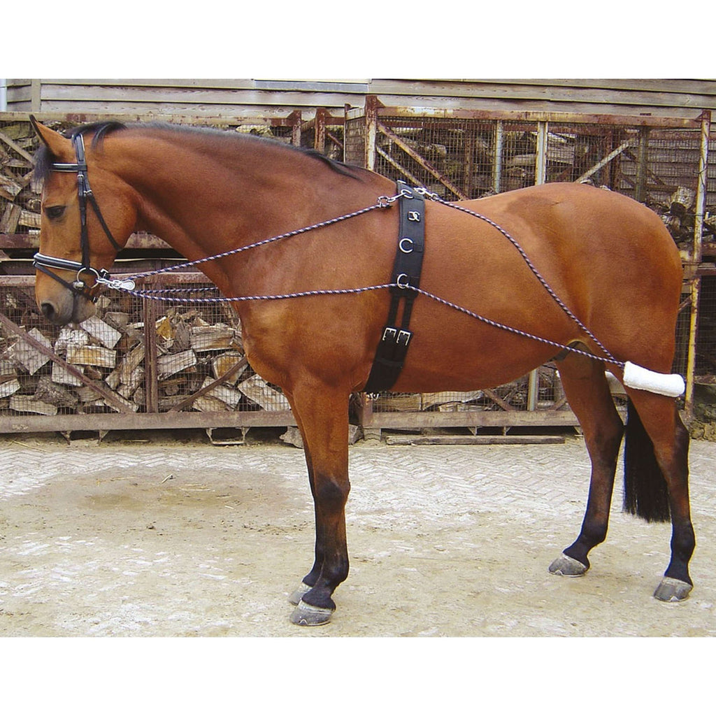 Harry's Horse Wodze Pomocnicze Do Lonżowania