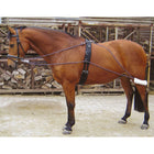 Harry's Horse Wodze Pomocnicze Do Lonżowania