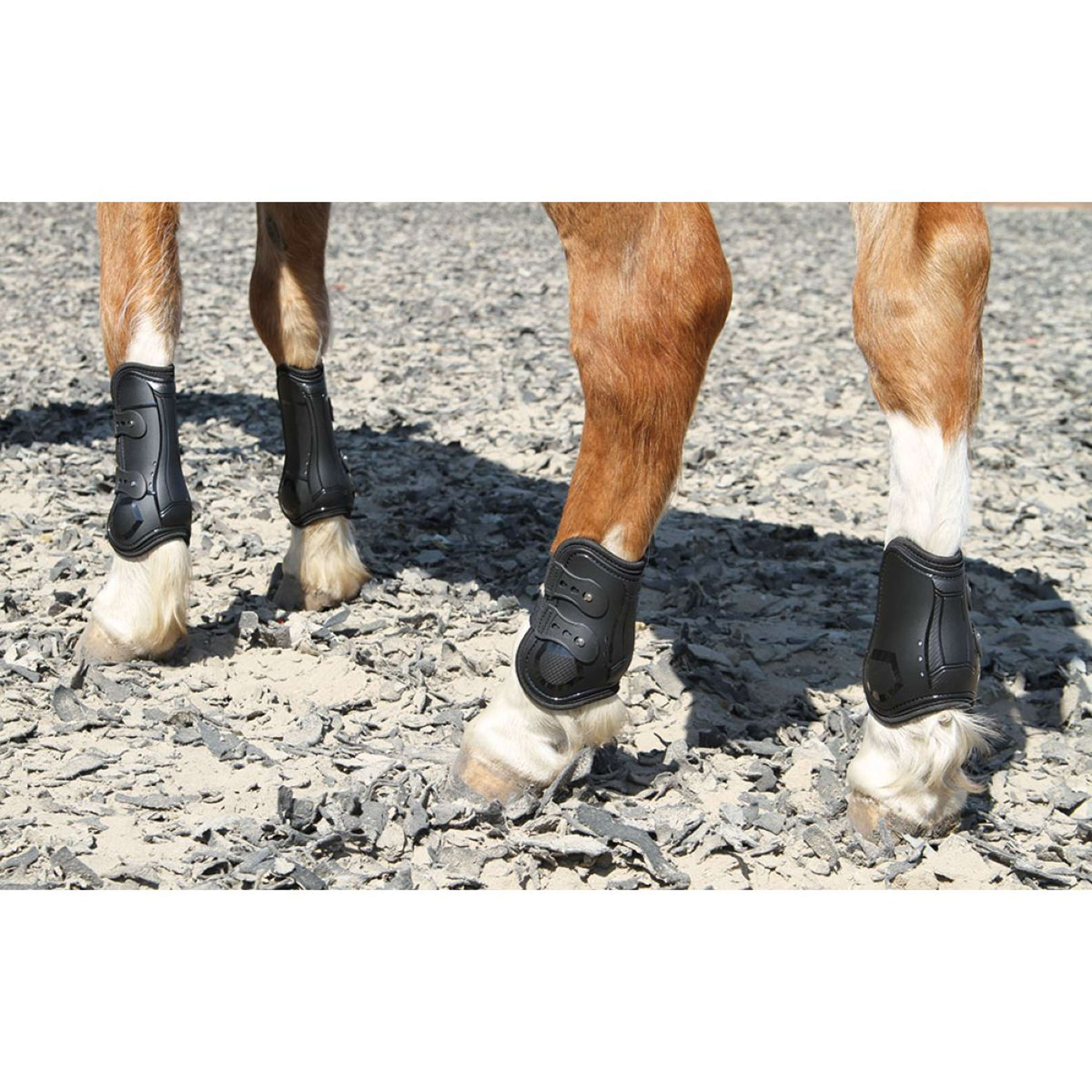 Harry's Horse Ochraniacze Na Ścięgna Percy Air Czarny