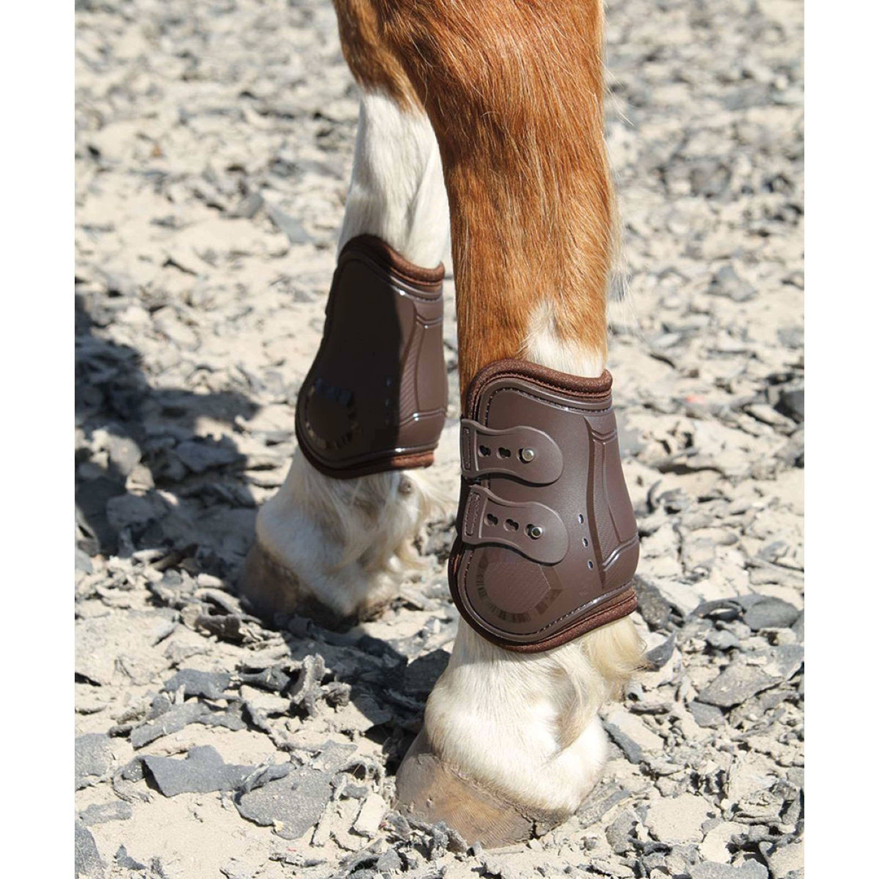 Harry's Horse Ochraniacze na pęciny Percy Air Brązowe