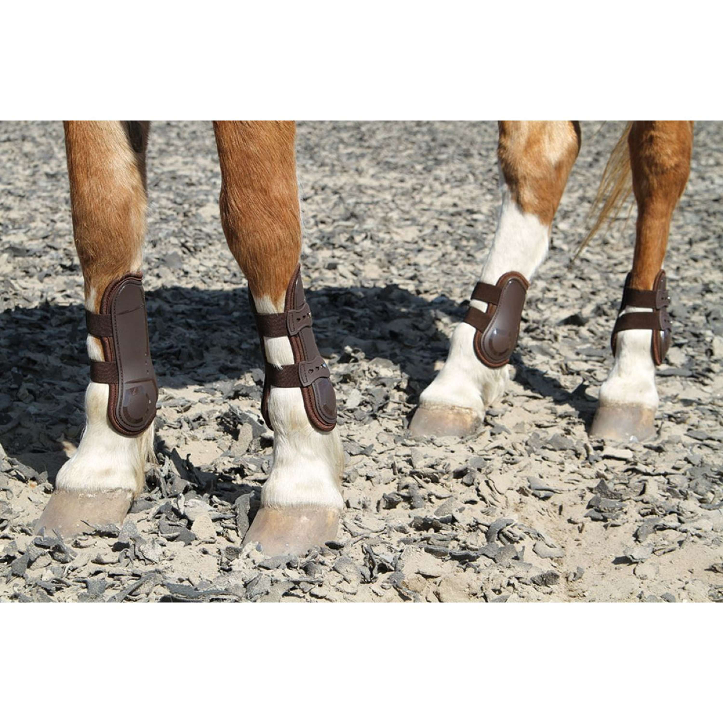 Harry's Horse Ochraniacze na pęciny Percy Air Brązowe