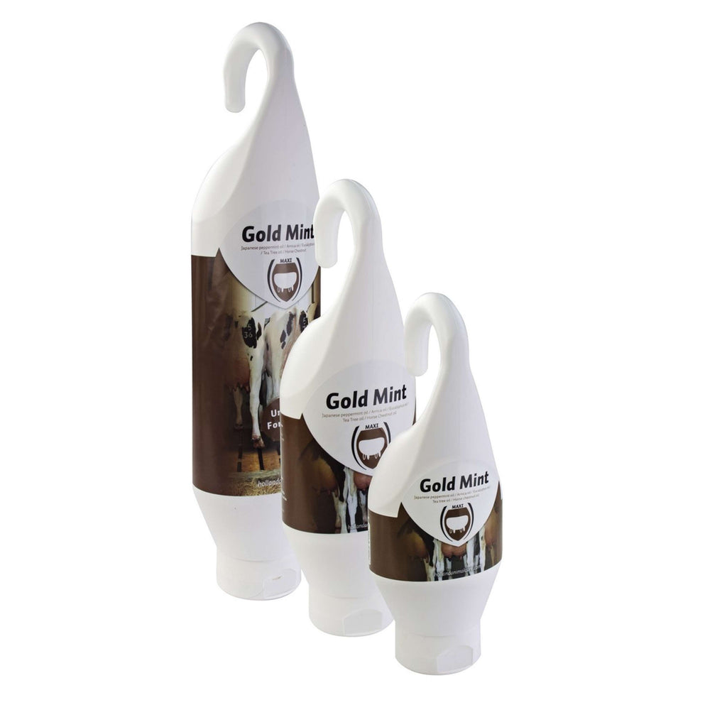 Agradi Gold Mint Tuba Stojąco-Wisząca