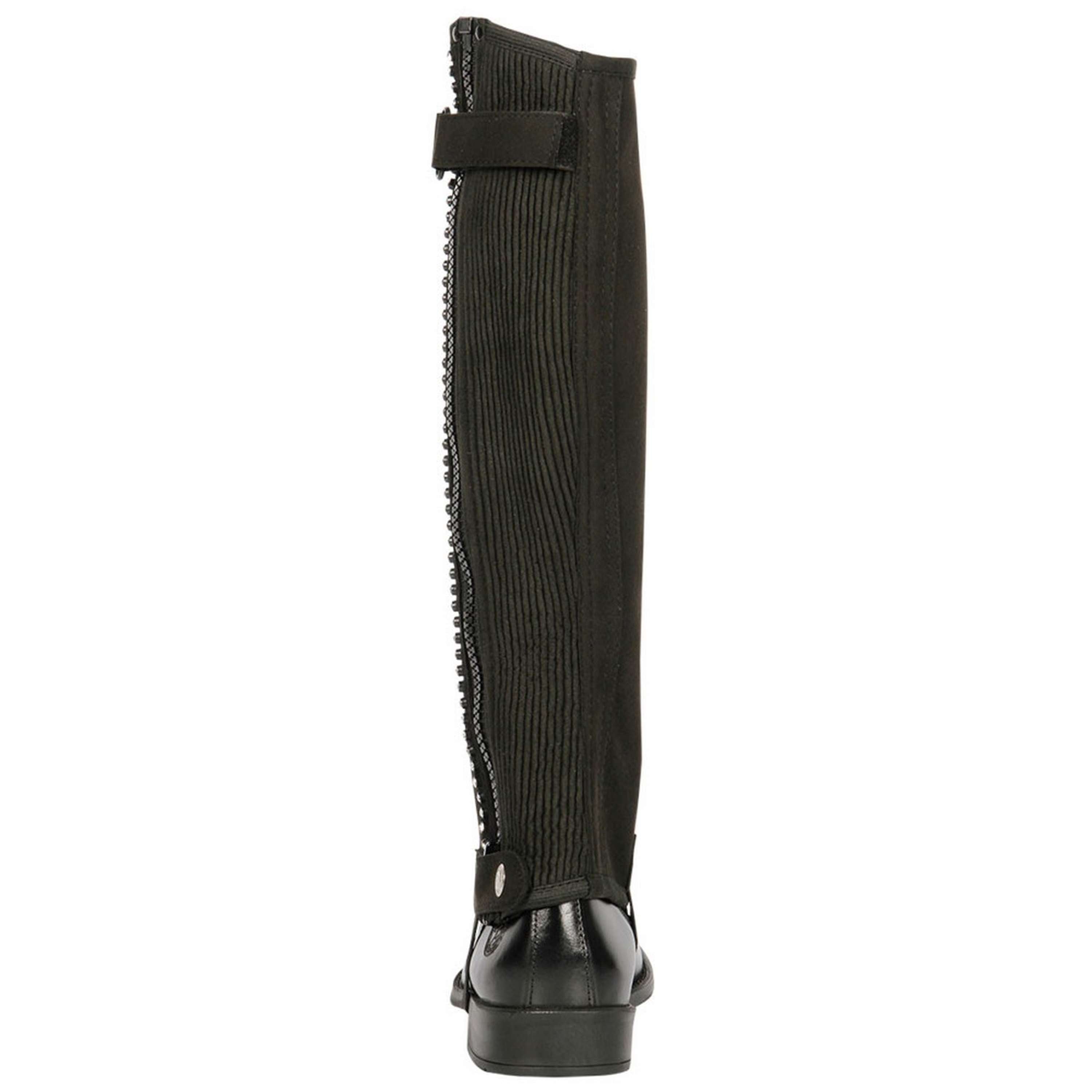 Harry's Horse Chaps amara crystal Czarny