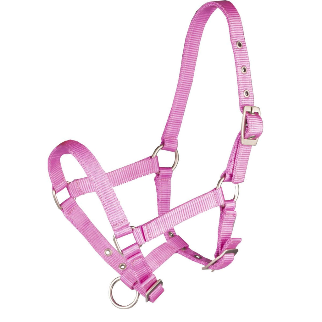 Kantar dla źrebiąt HORKA Basic, różowy (Hot Pink)