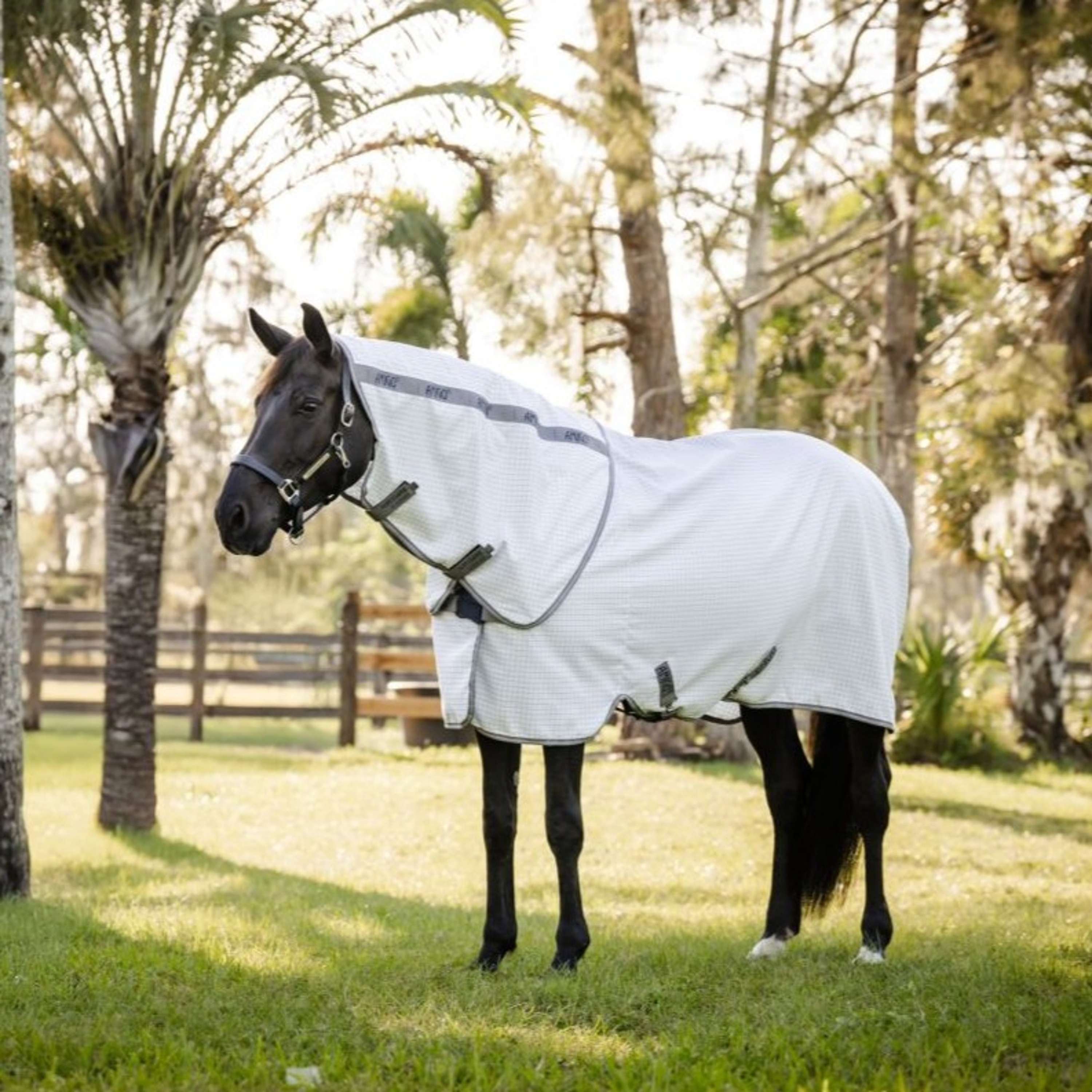 Amigo Summer Sheet Plus Granatowy Kratka/Tytanowy Szary/Srebrny